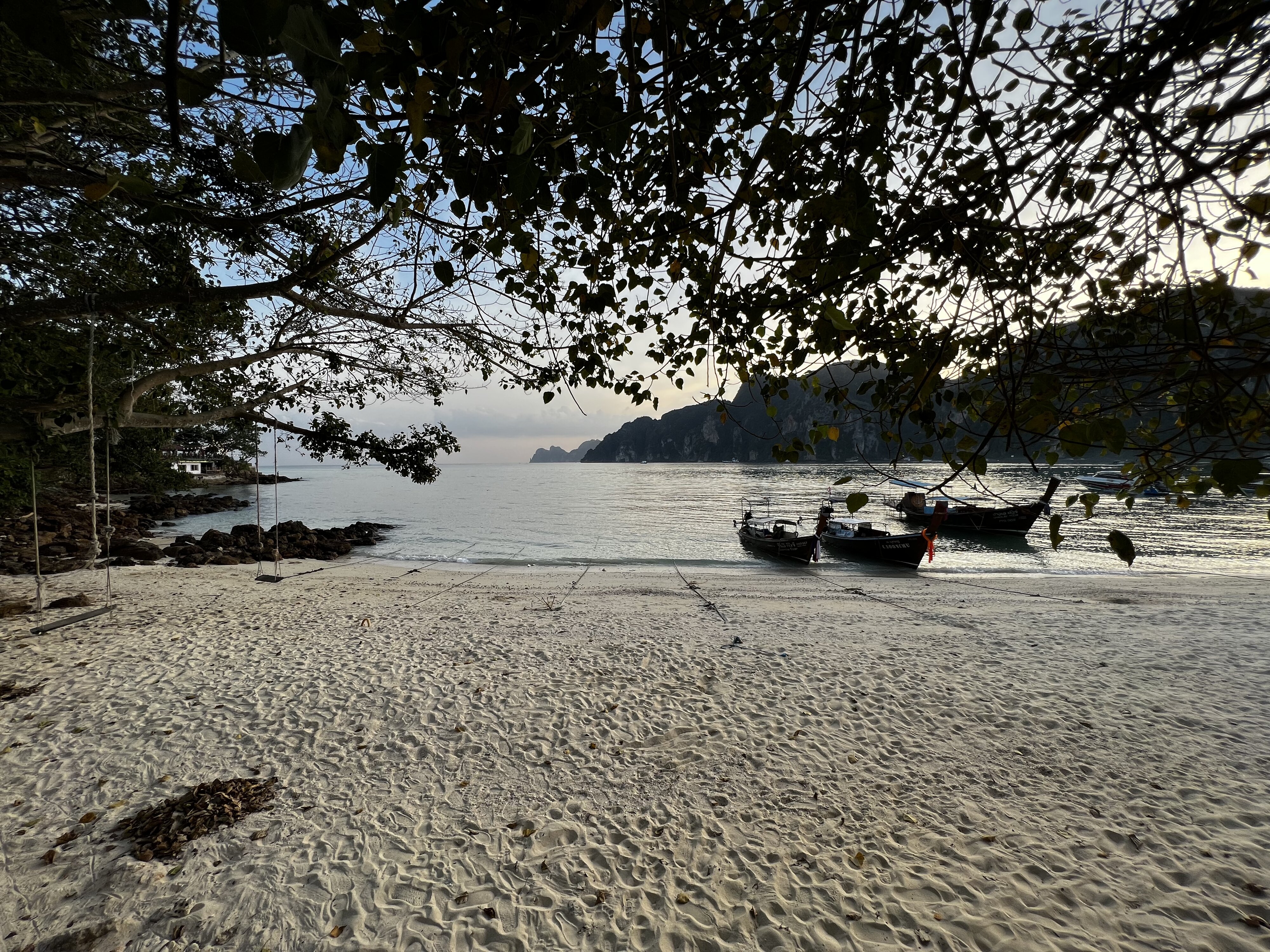 รูปถ่าย ไทย(Thailand) เกาะพีพีดอน(Ko Phi Phi Don) 2021-12 123