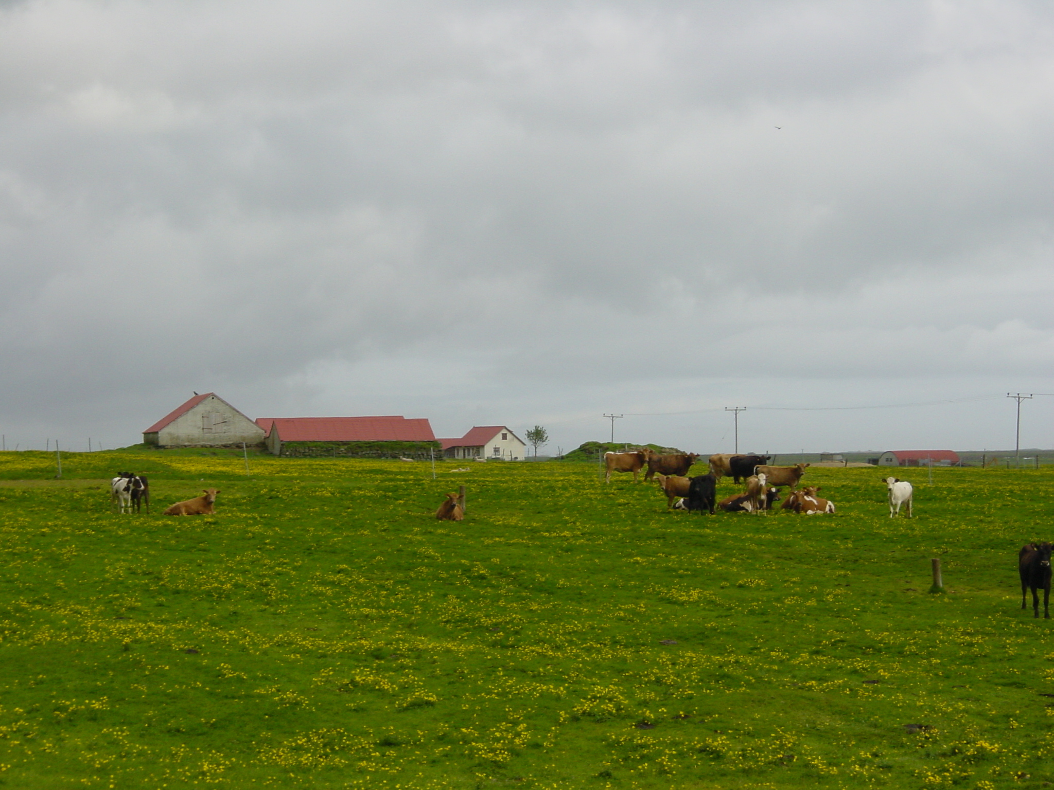 รูปถ่าย ไอซ์แลนด์(Iceland) ถนนหมายเลข 1 จากวีกไปสกาฟตาเฟลล์(Road 1 Vik to Skaftafell) 2003-06 2