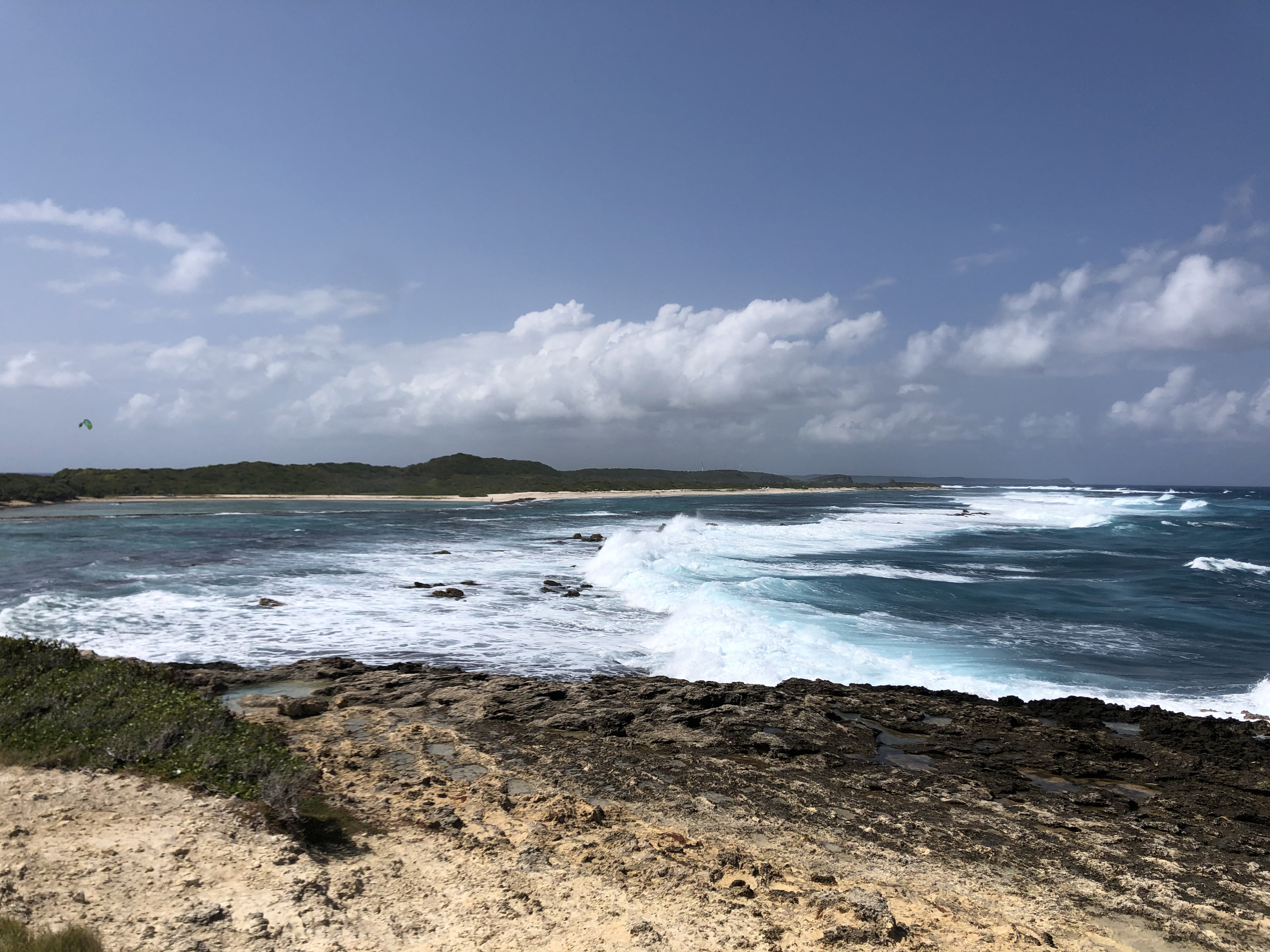 รูปถ่าย กวาเดอลูป(Guadeloupe) แหลมคาสเซิลพอยต์(Castle Point) 2021-02 39