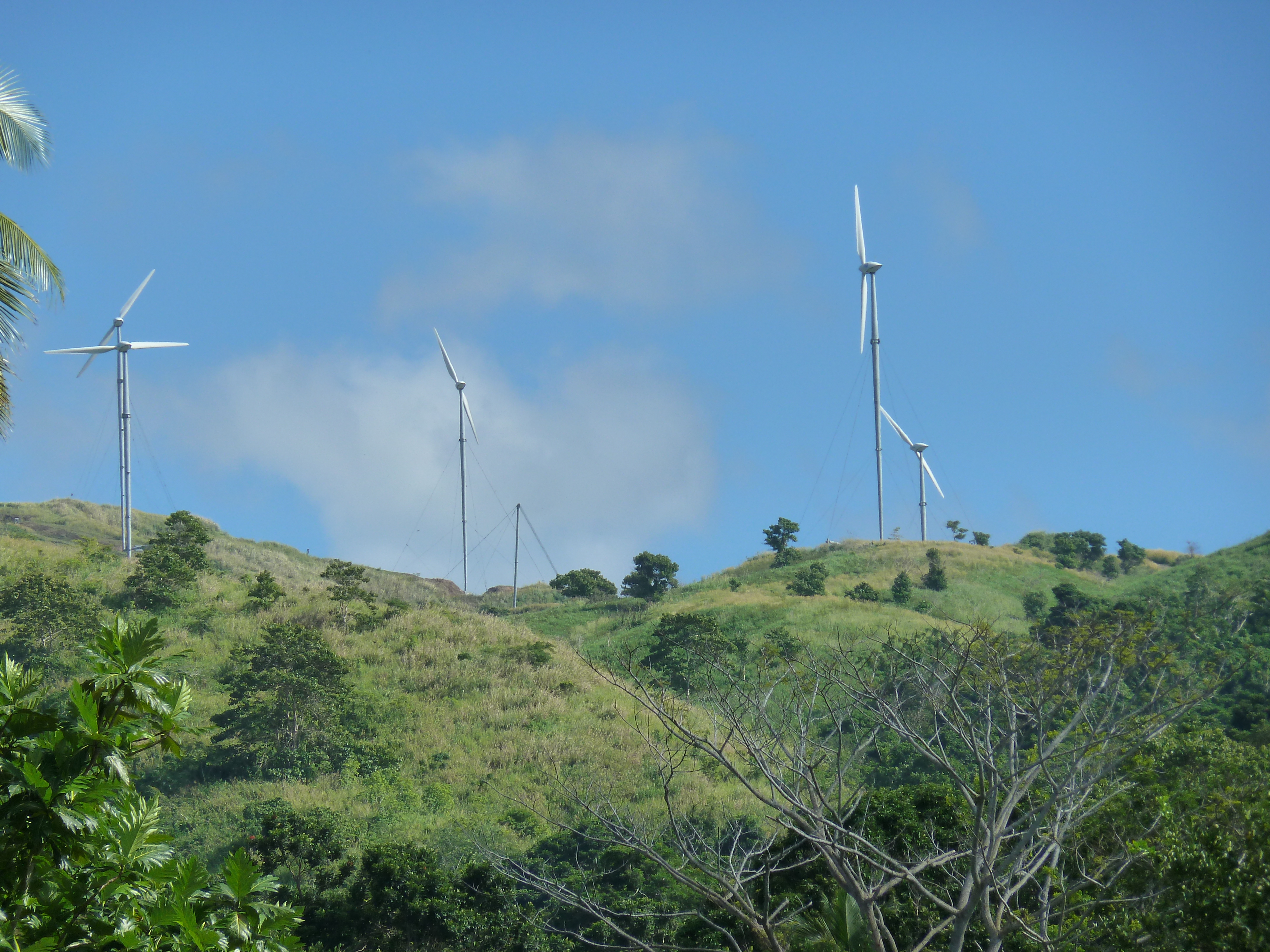 รูปถ่าย ฟิจิ(Fiji) แม่น้ำซิงกาโตกา(Sigatoka river) 2010-05 68