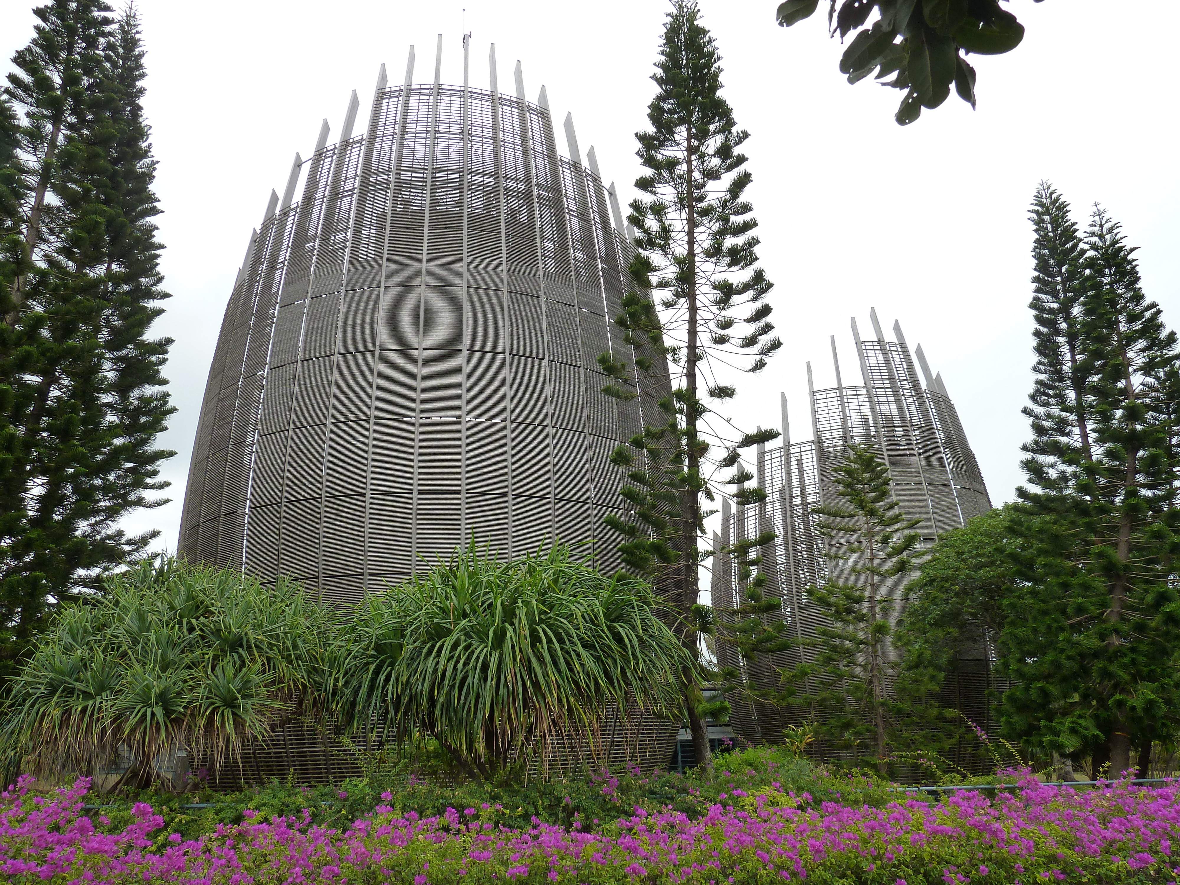 รูปถ่าย นิวแคลิโดเนีย(New Caledonia) 2010-05 68
