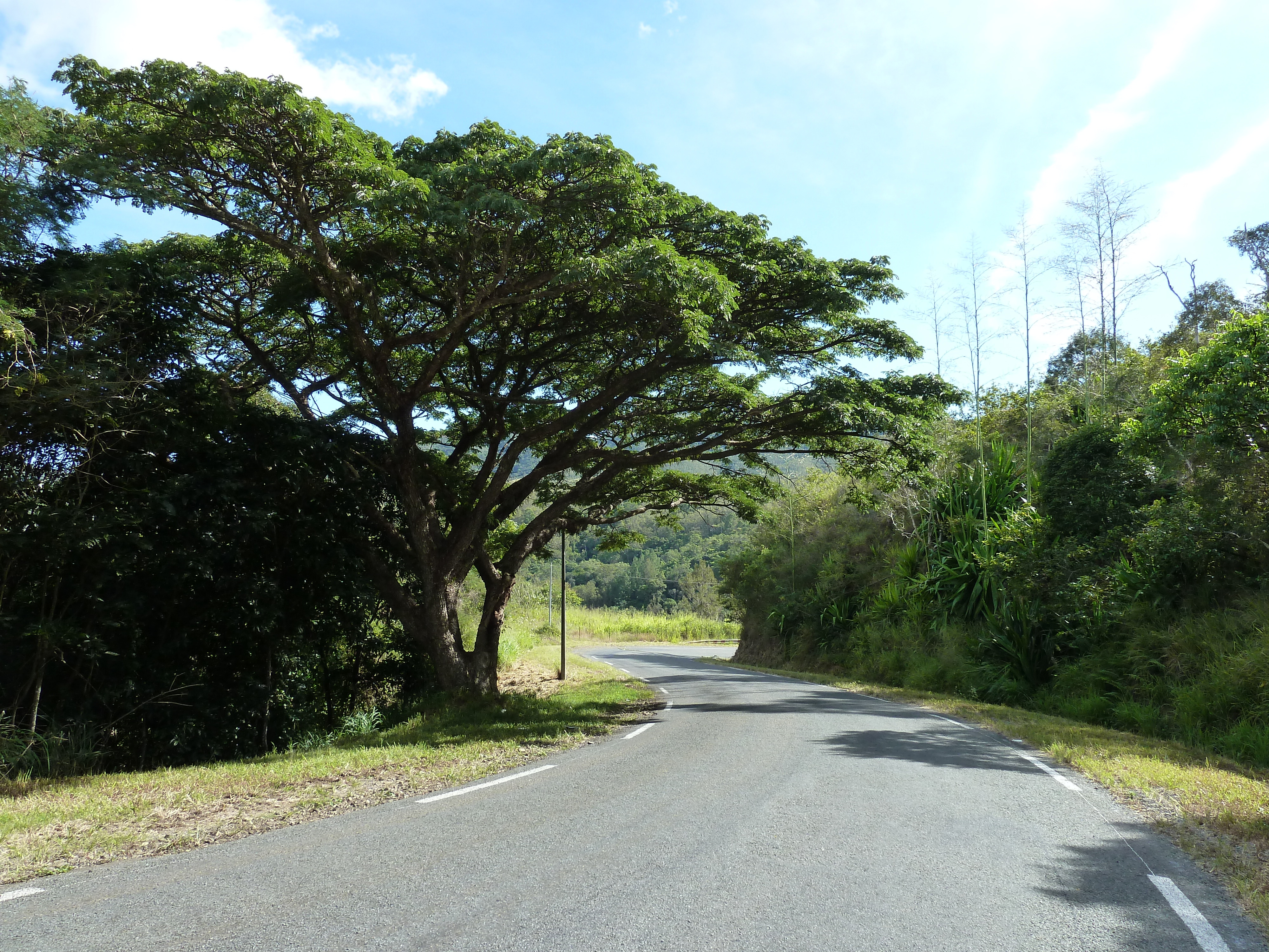 รูปถ่าย นิวแคลิโดเนีย(New Caledonia) ถนนจากตงตูตาไปทีโอ(Tontouta to Thio road) 2010-05 71
