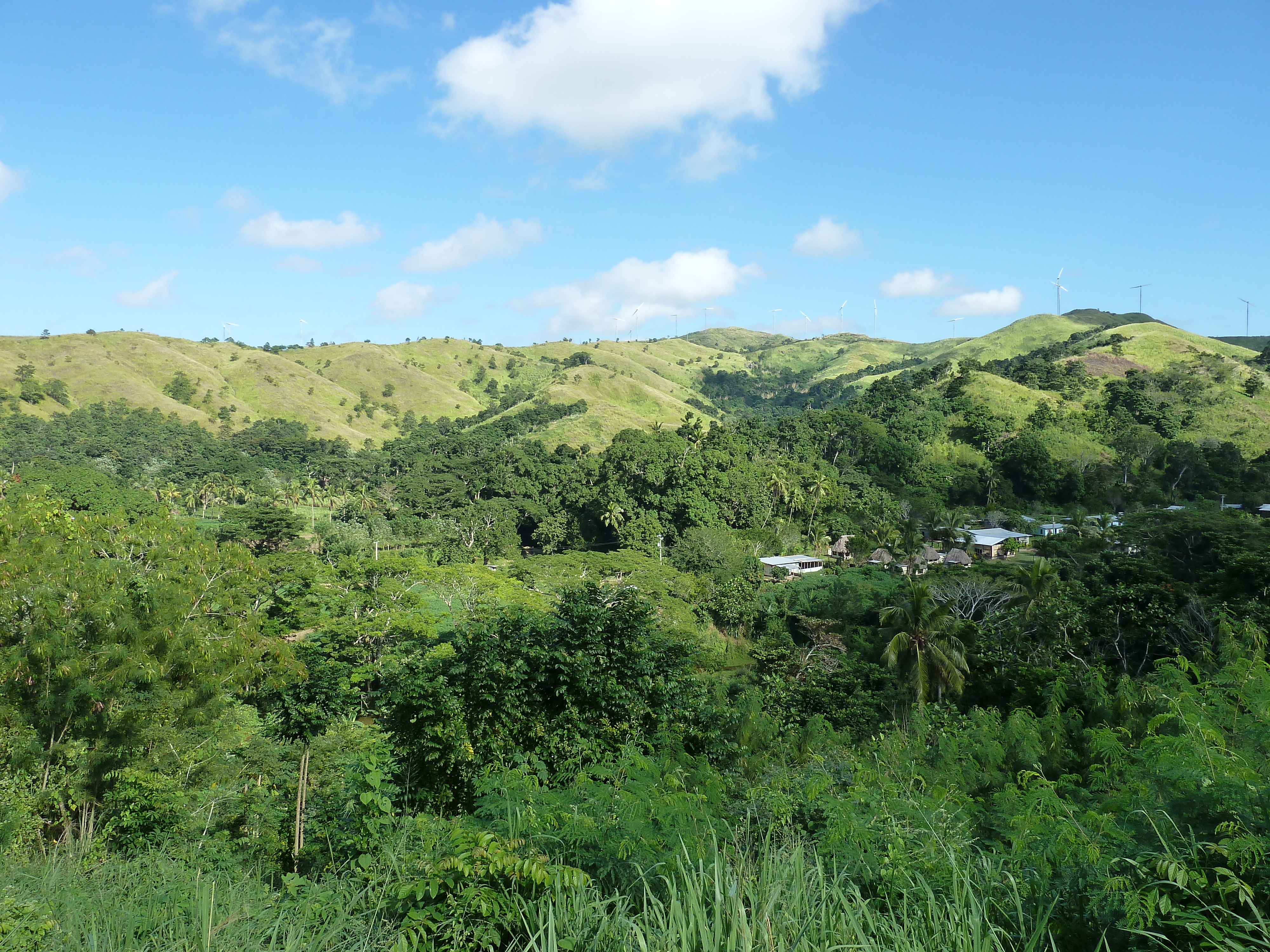 รูปถ่าย ฟิจิ(Fiji) แม่น้ำซิงกาโตกา(Sigatoka river) 2010-05 12