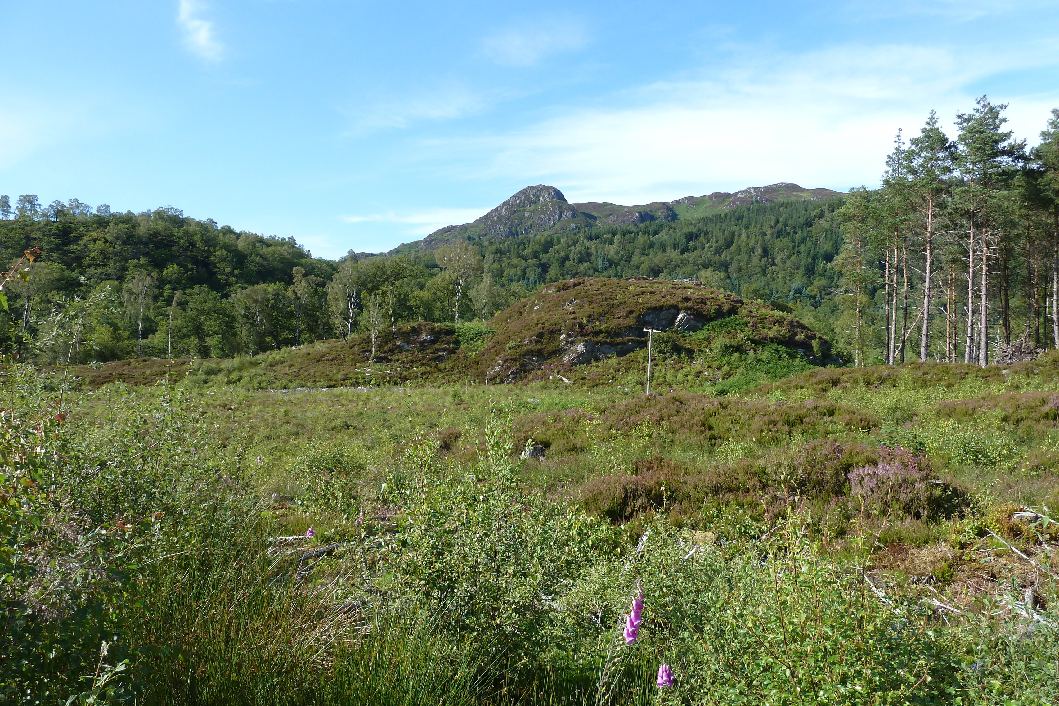 รูปถ่าย อังกฤษ(United Kingdom) ทรอสซักส์(The Trossachs) 2011-07 71