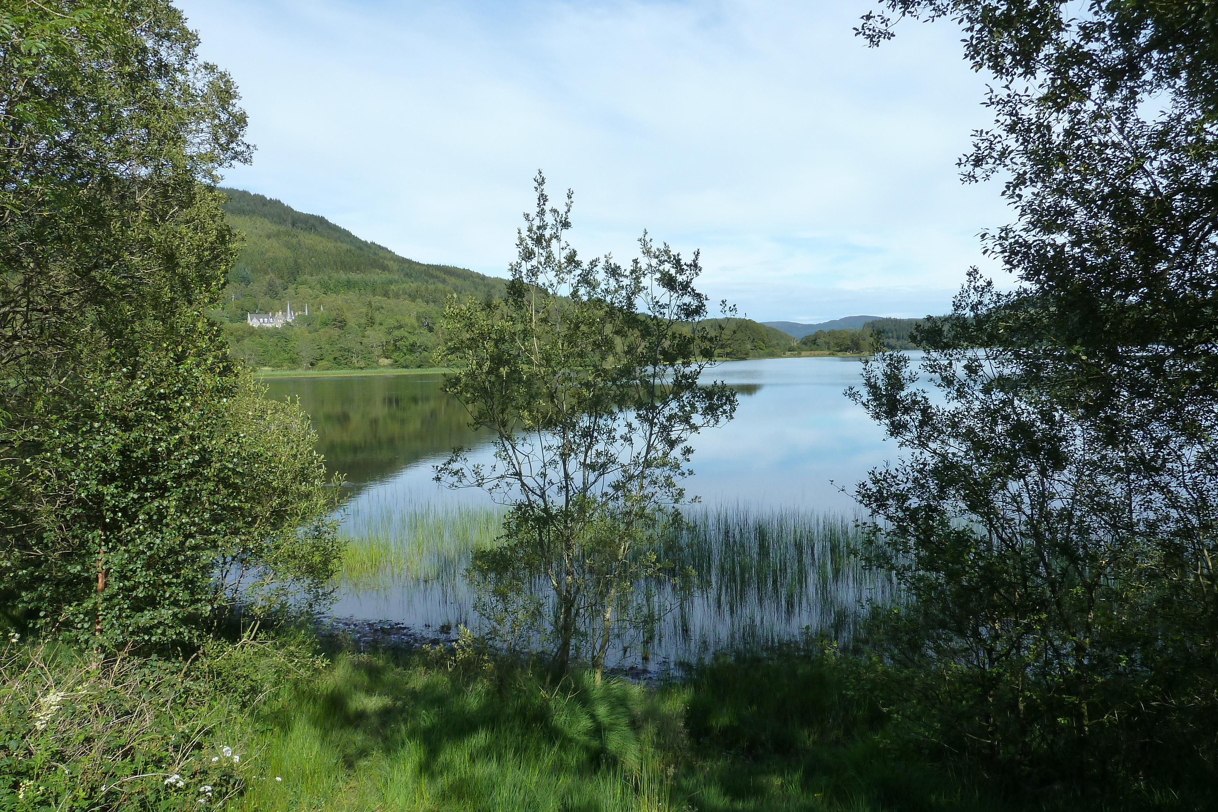 รูปถ่าย อังกฤษ(United Kingdom) ทรอสซักส์(The Trossachs) 2011-07 87
