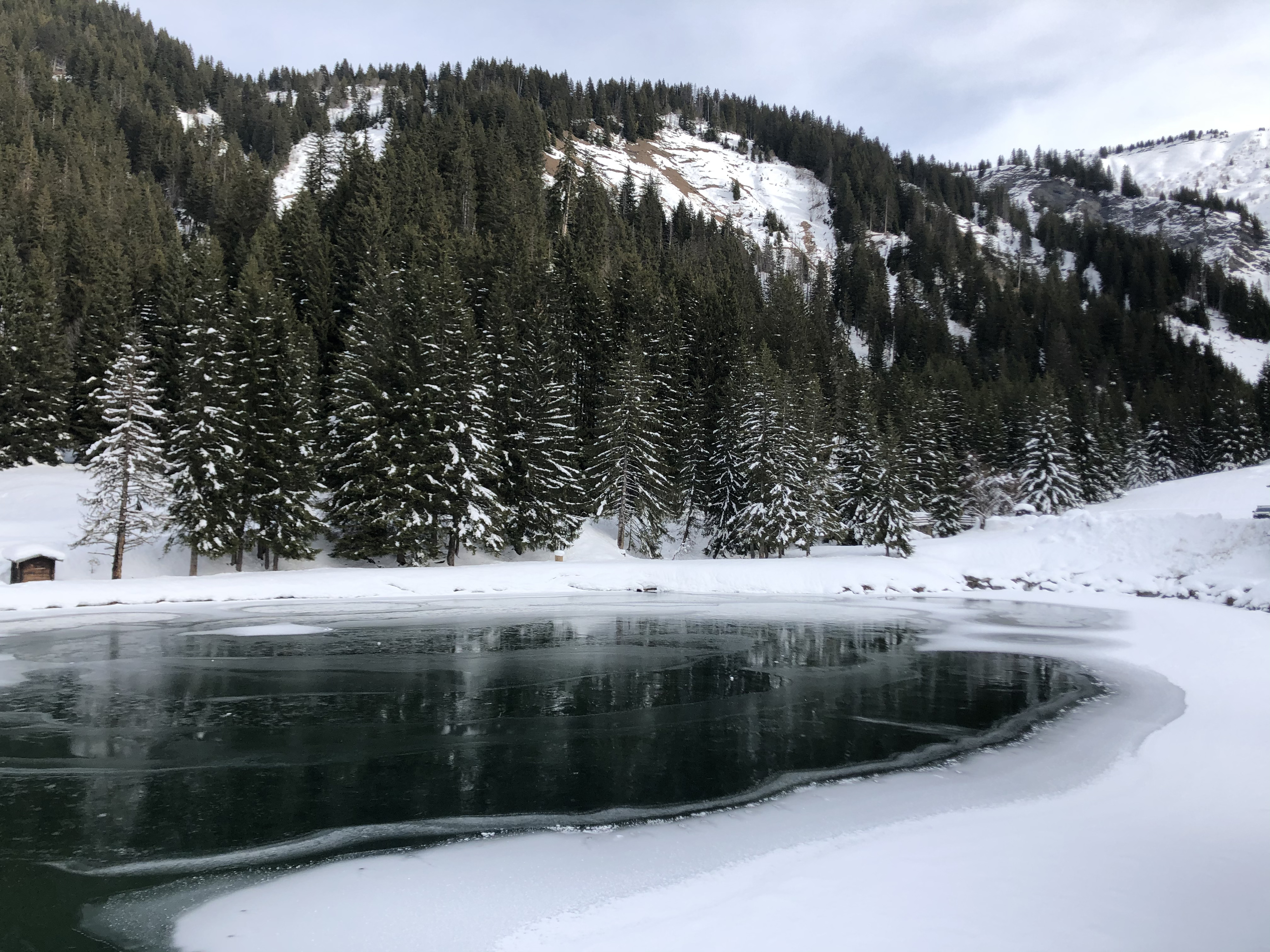 รูปถ่าย ฝรั่งเศส(France) ปรา-ซูร์-อาร์ลี(Praz sur Arly) 2019-12 36
