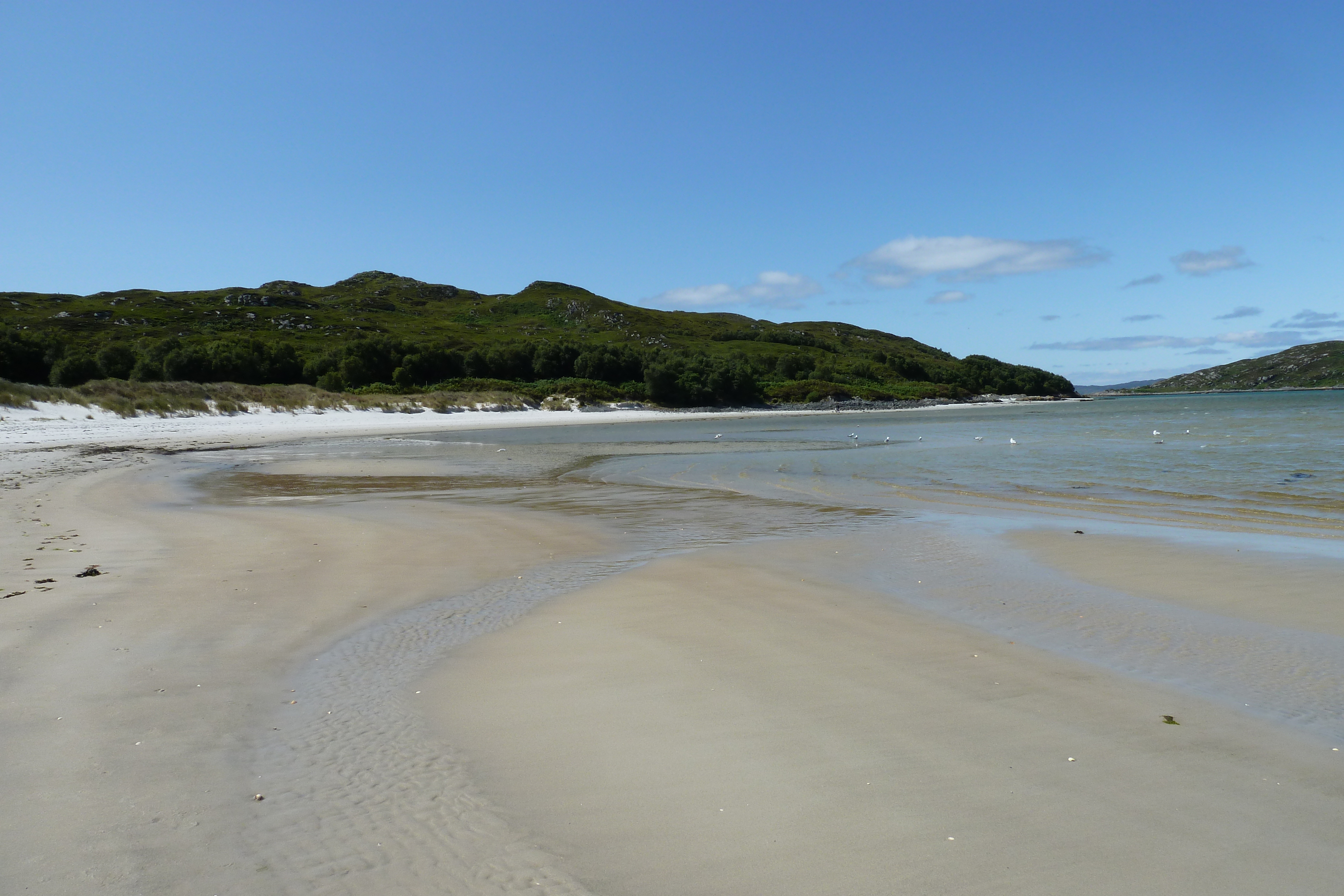 รูปถ่าย อังกฤษ(United Kingdom) สกอตแลนด์(Scotland) ชายฝั่งแอริเซก(Arisaig coast) 2011-07 56