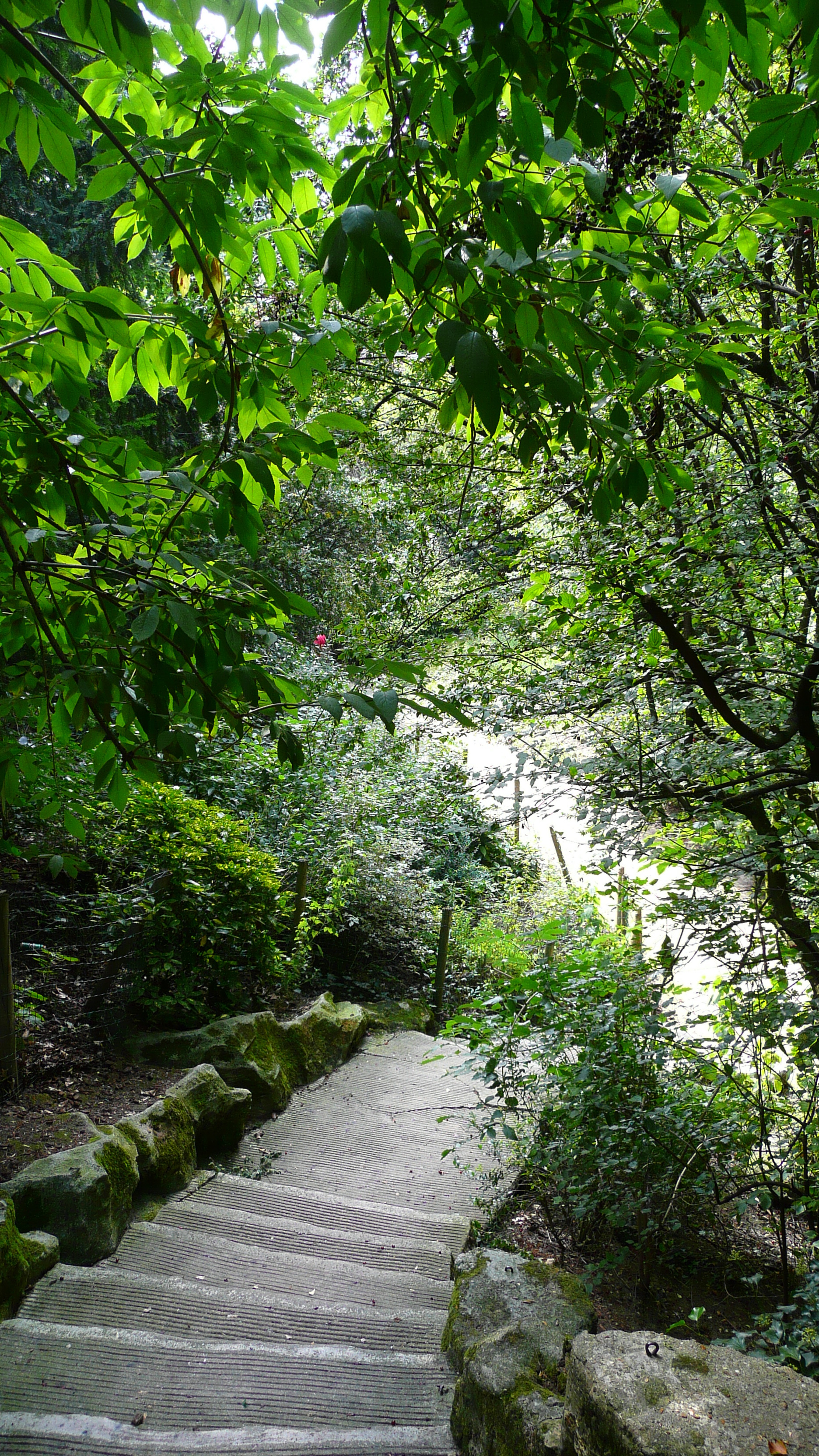 รูปถ่าย ฝรั่งเศส(France) ปารีส(Paris) สวนบุต-โชมง(Parc des Buttes Chaumont) 2007-08 197