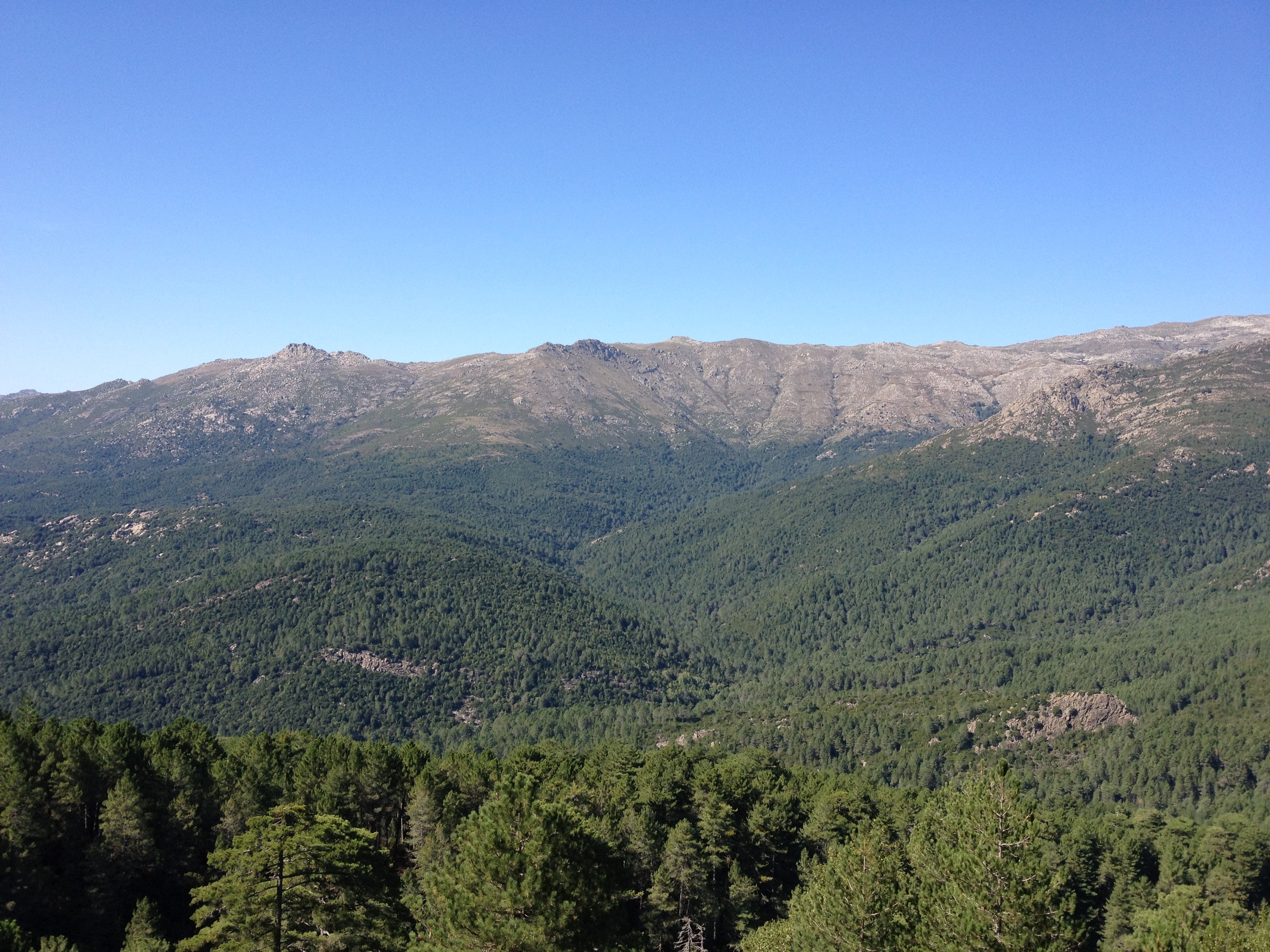 รูปถ่าย ฝรั่งเศส(France) คอร์สิคา(Corsica) บาแวลลา(Bavella) 2012-09 7