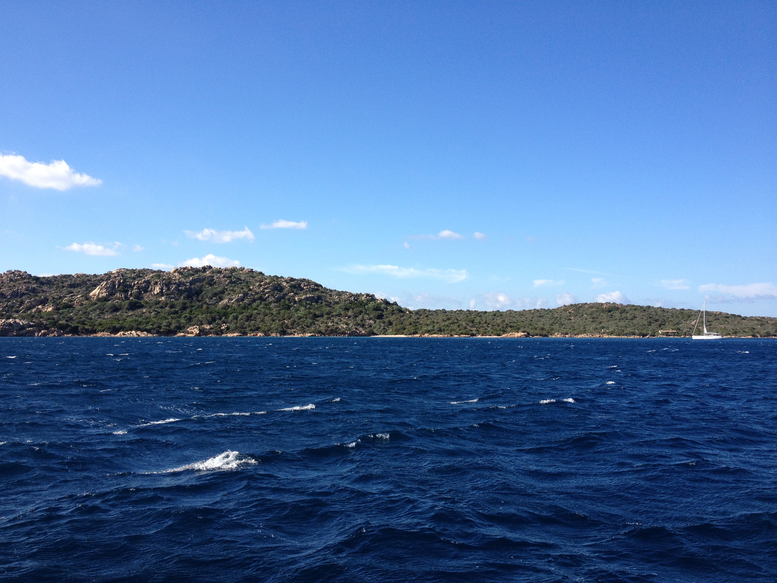 รูปถ่าย อิตาลี(Italy) เกาะกาเปรรา(Caprera) 2012-09 31