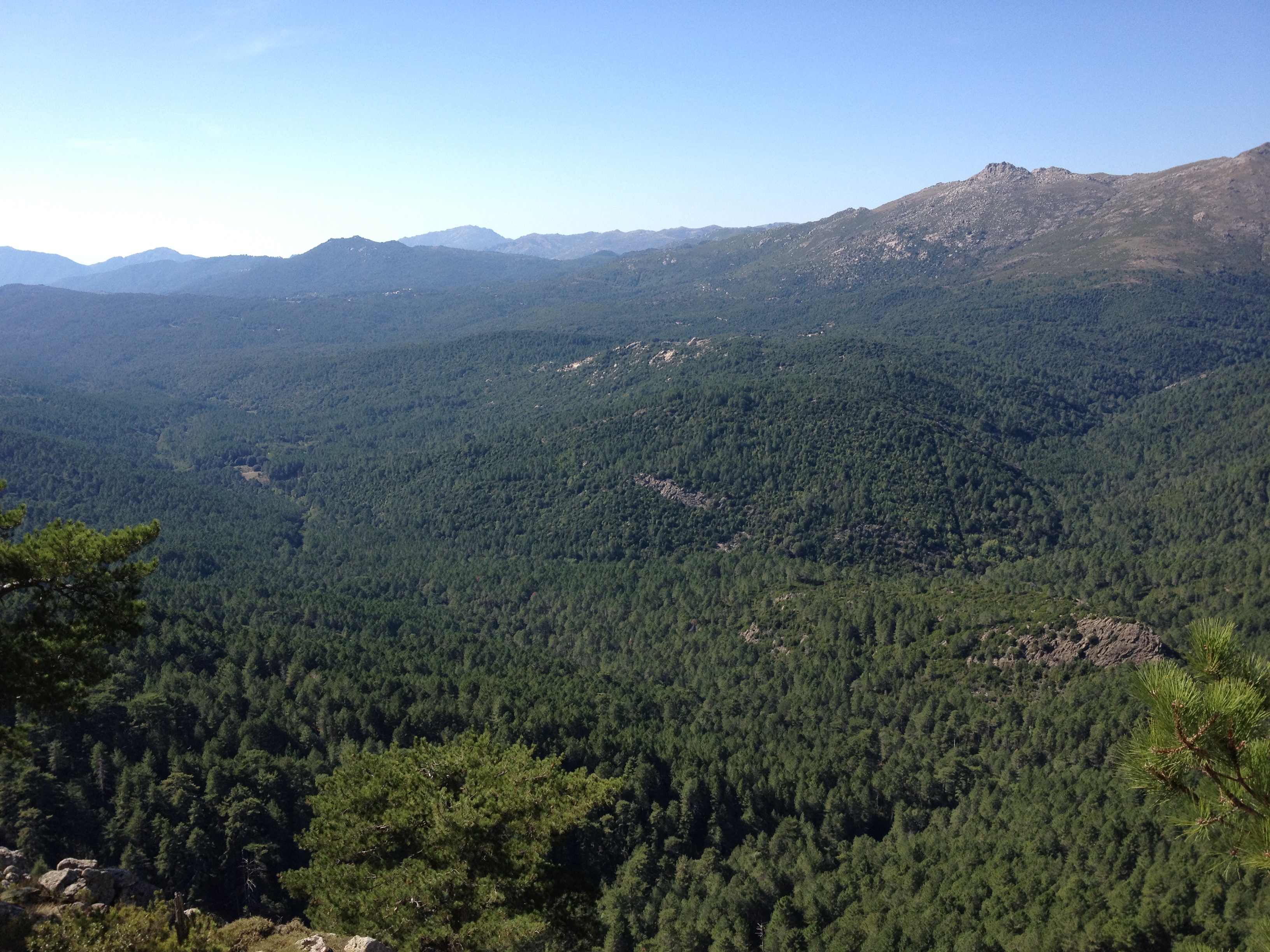 รูปถ่าย ฝรั่งเศส(France) คอร์สิคา(Corsica) บาแวลลา(Bavella) 2012-09 43