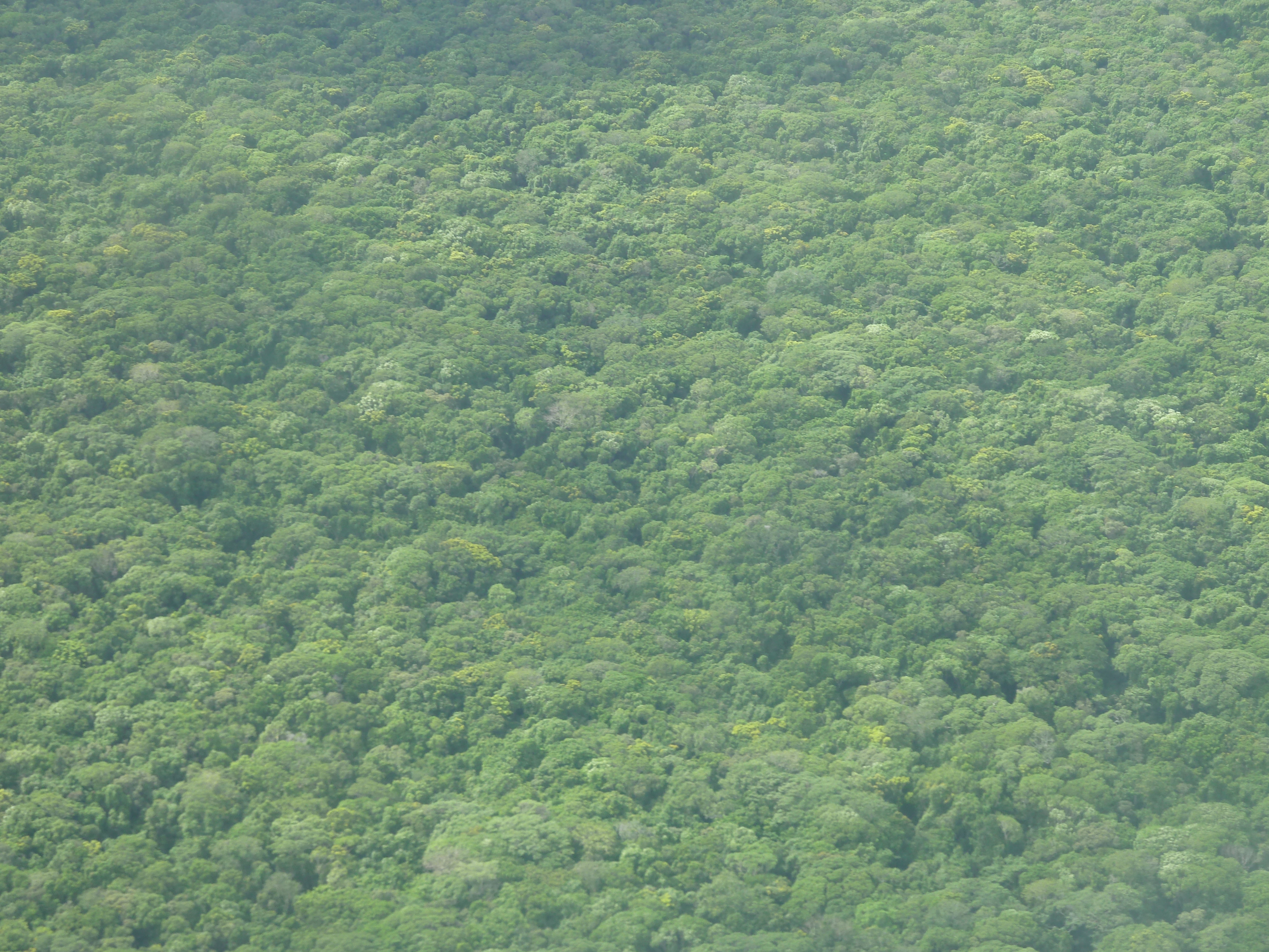 รูปถ่าย นิวแคลิโดเนีย(New Caledonia) ถ่ายจากข้างบน(From the Sky) 2010-05 5