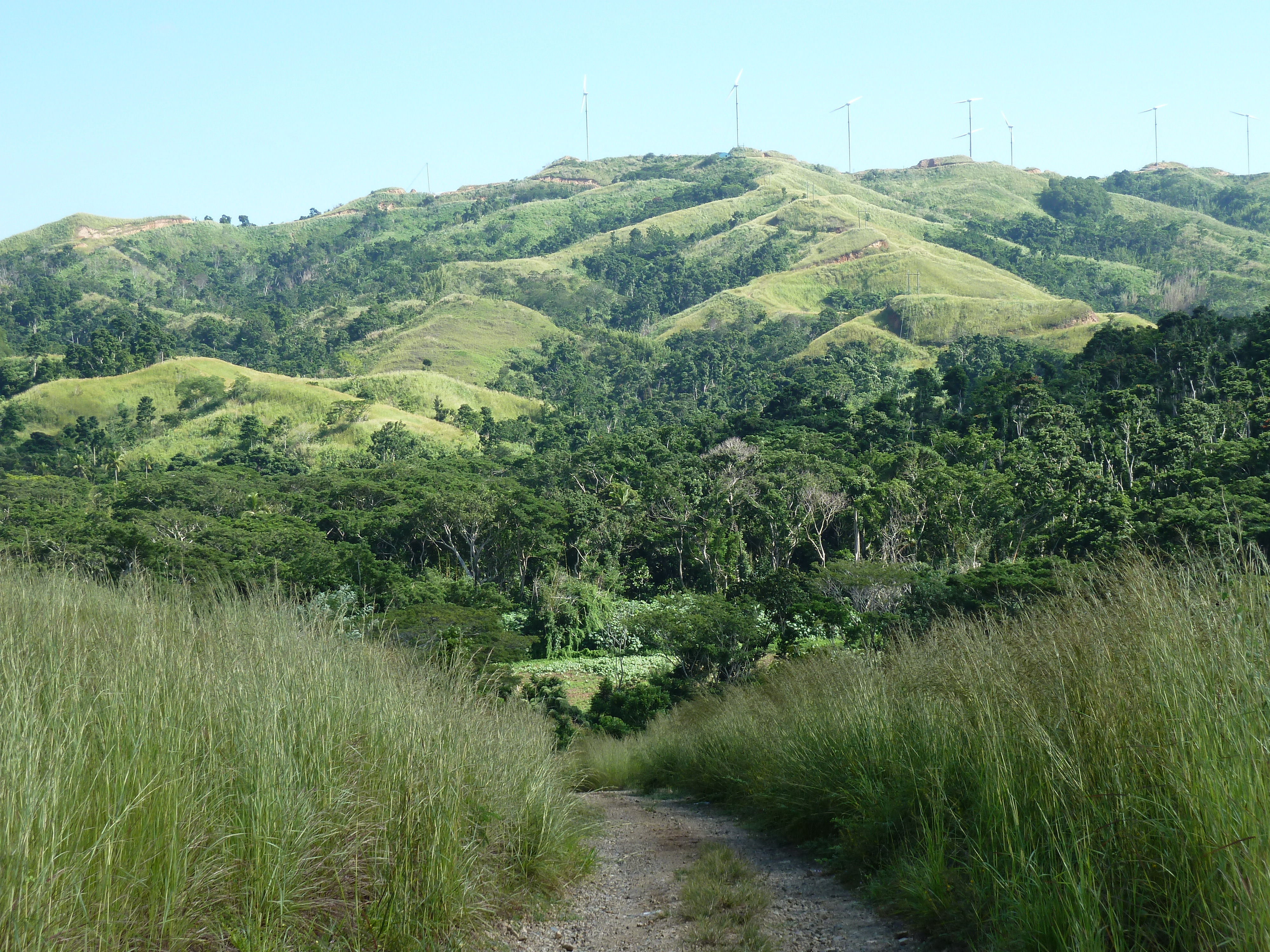 รูปถ่าย ฟิจิ(Fiji) แม่น้ำซิงกาโตกา(Sigatoka river) 2010-05 72