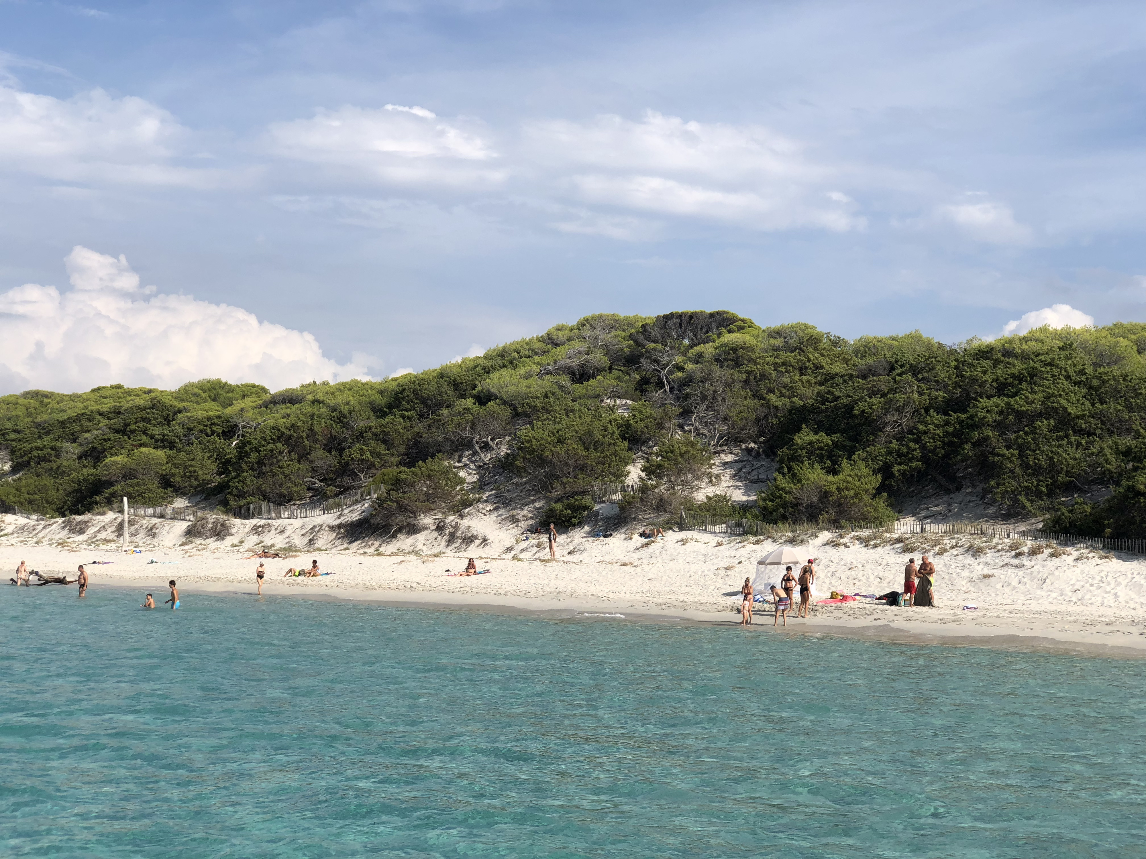รูปถ่าย ฝรั่งเศส(France) คอร์สิคา(Corsica) หาดซาเลชชา(Saleccia Beach) 2018-09 9