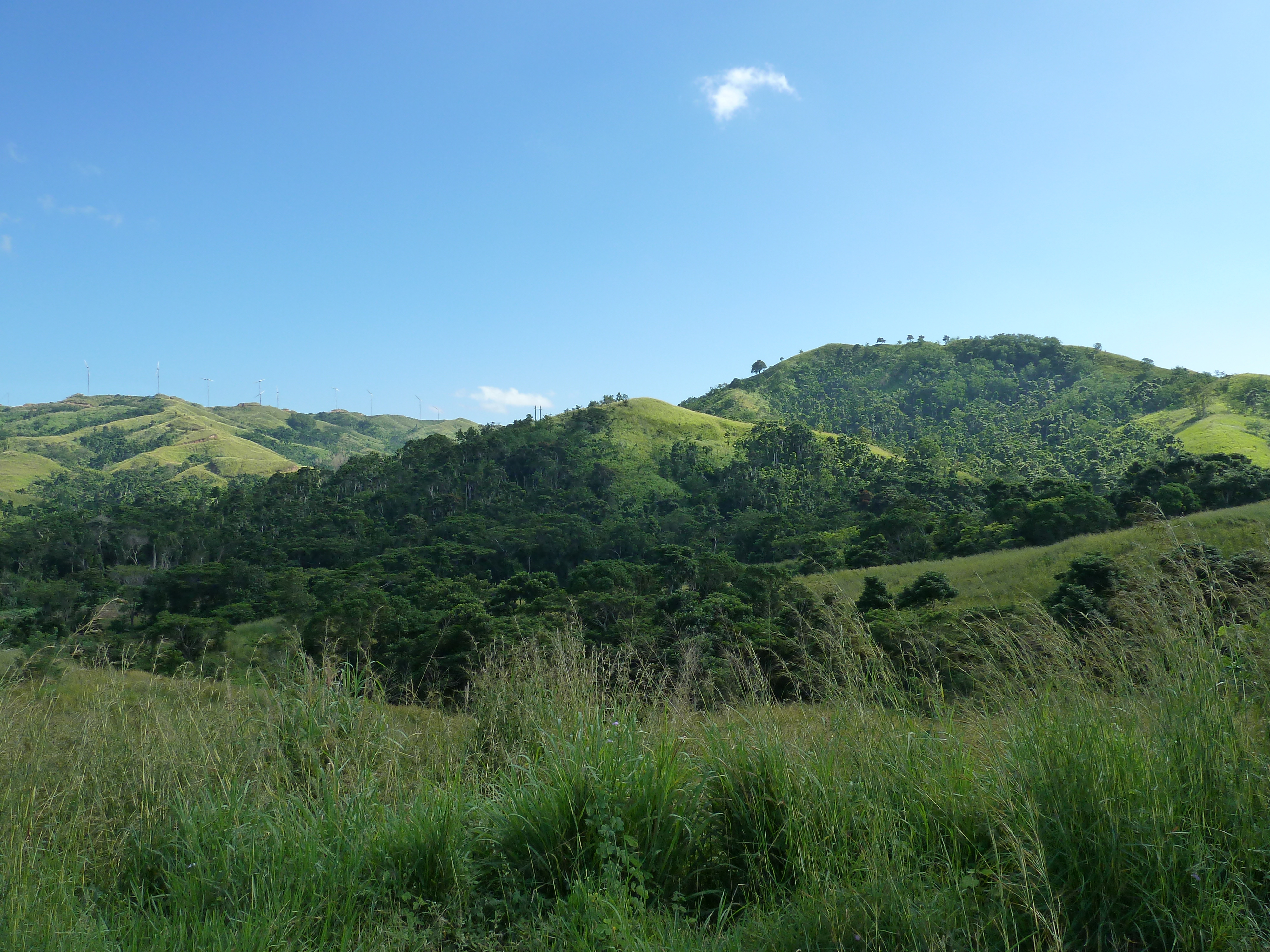 รูปถ่าย ฟิจิ(Fiji) แม่น้ำซิงกาโตกา(Sigatoka river) 2010-05 69