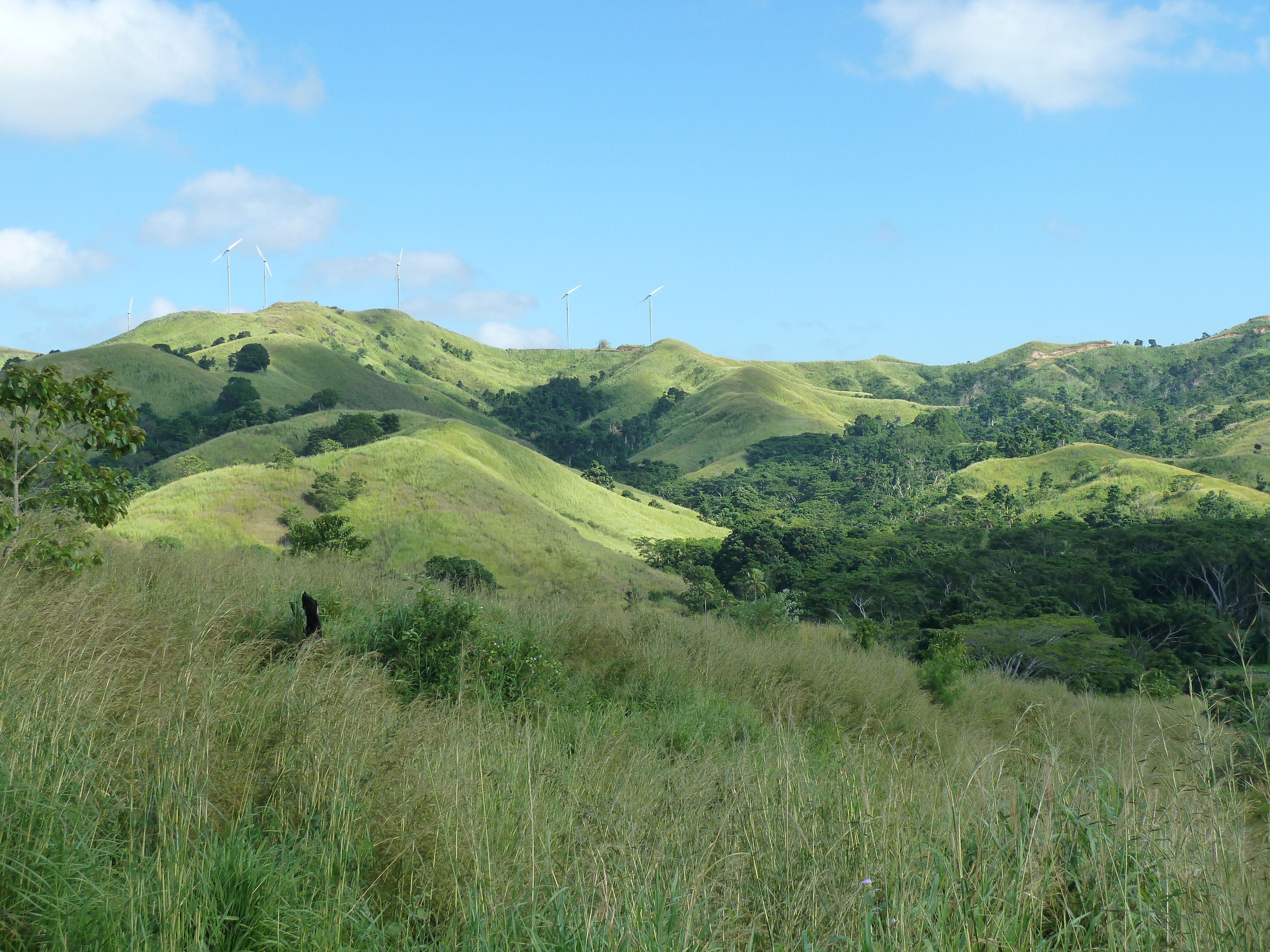 รูปถ่าย ฟิจิ(Fiji) แม่น้ำซิงกาโตกา(Sigatoka river) 2010-05 57
