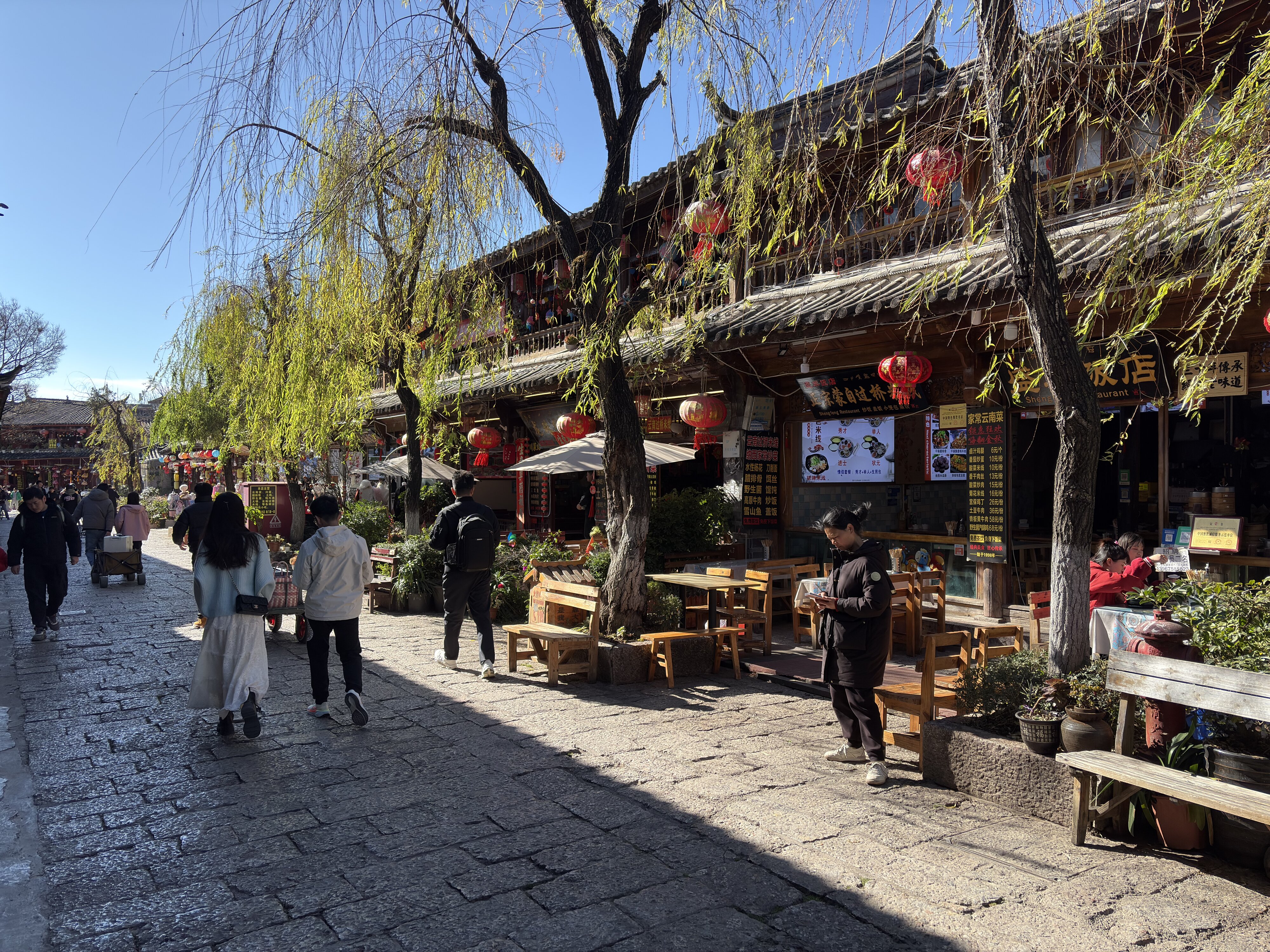 รูปถ่าย จีน(China) ลี่เจียง(Lijiang) 2026-01 676