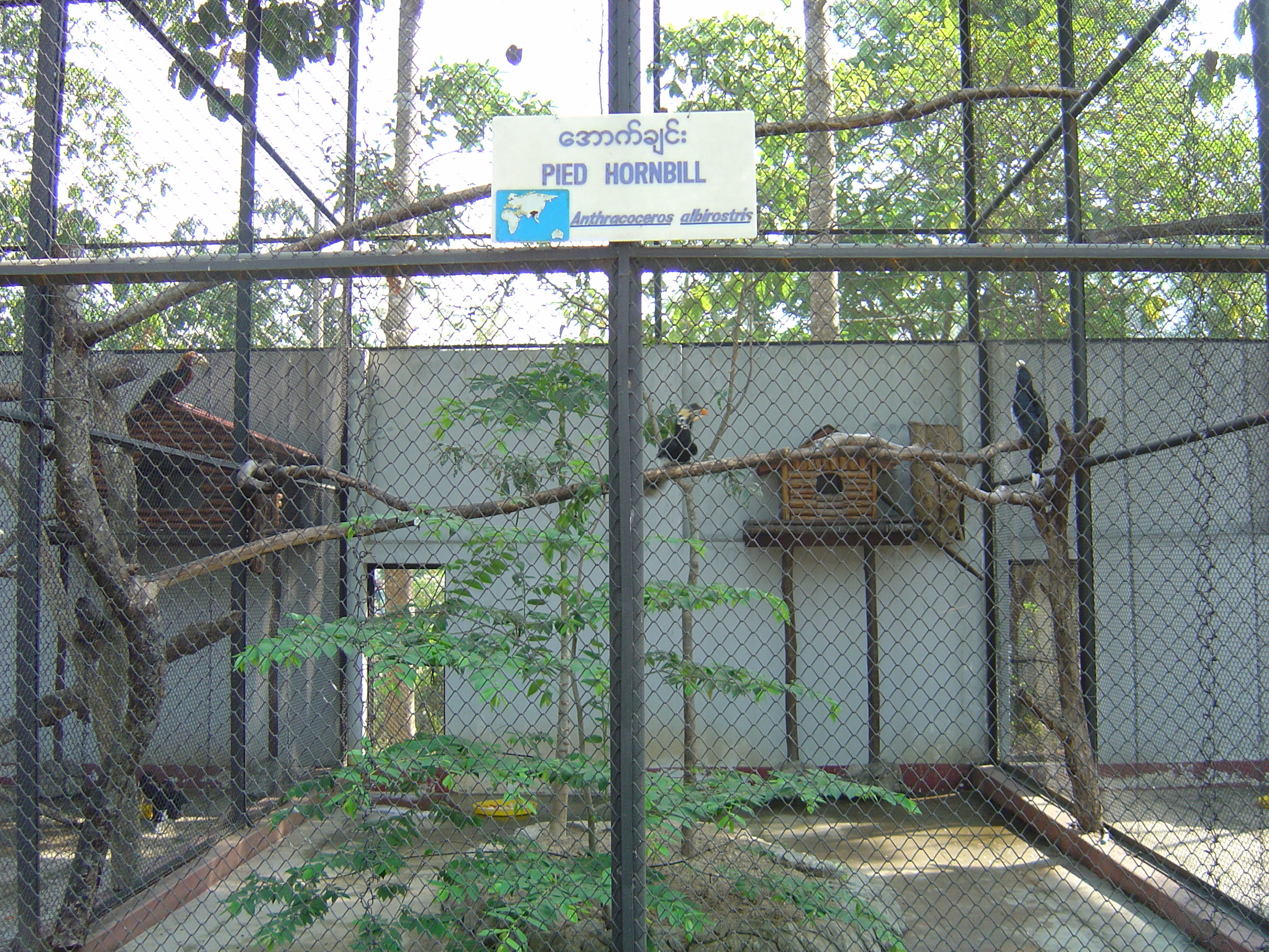 รูปถ่าย พม่า(Myanmar) ย่างกุ้ง(Yangon) 2005-01 161