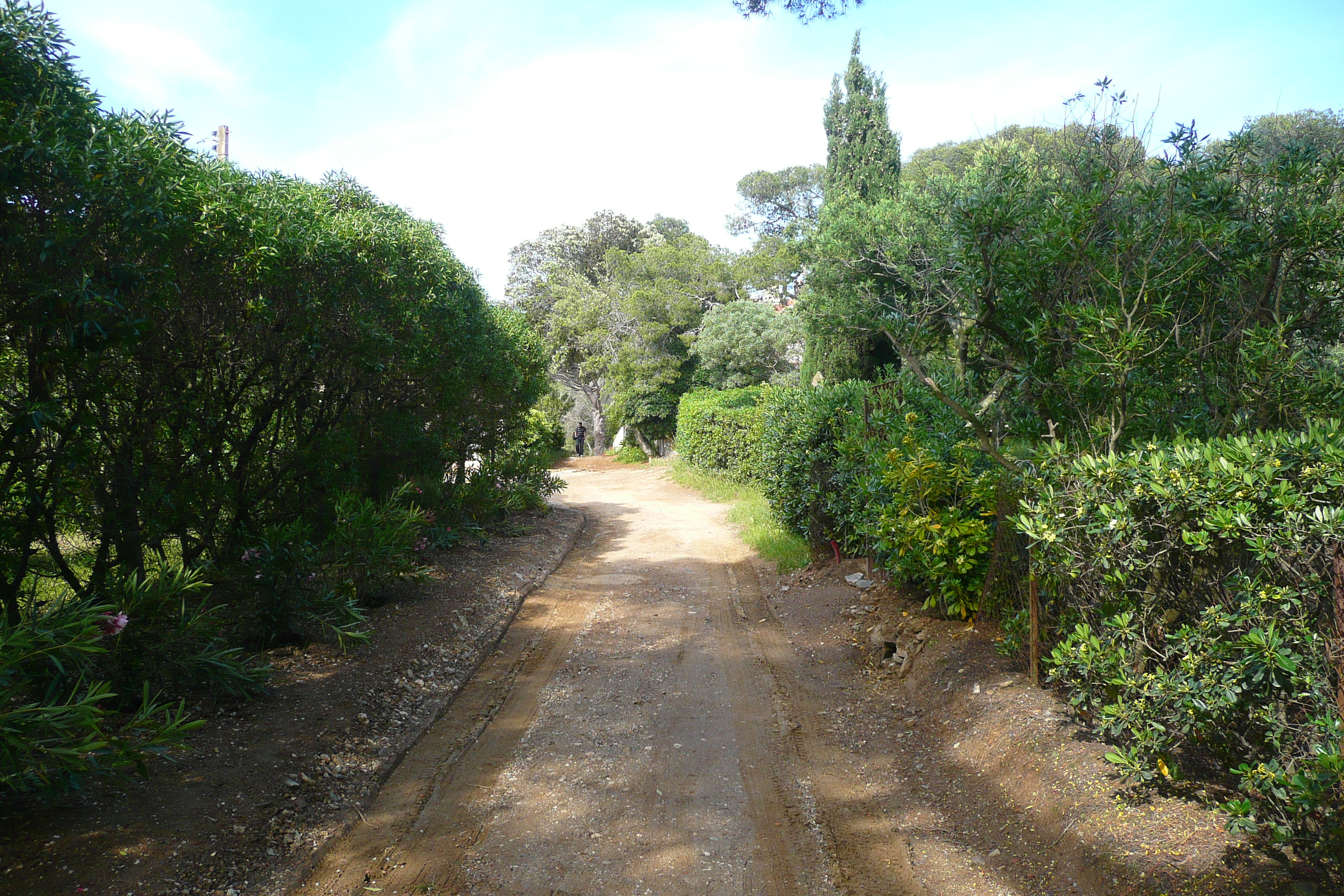 รูปถ่าย ฝรั่งเศส(France) เกาะปอร์เกอรอล(Porquerolles Island) ปอร์เกอรอล(Porquerolles) 2008-05 22