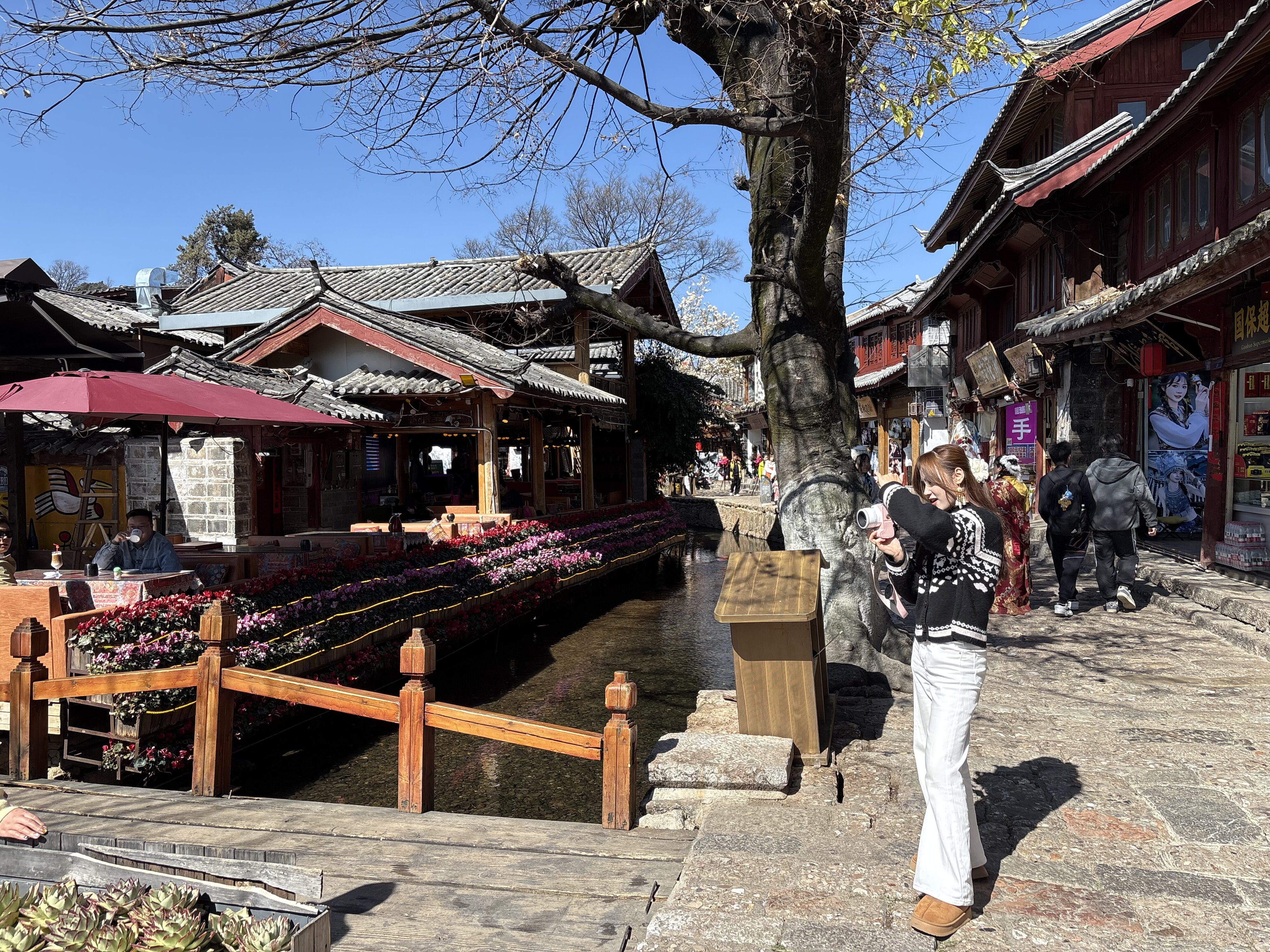 รูปถ่าย จีน(China) ลี่เจียง(Lijiang) 2026-01 780