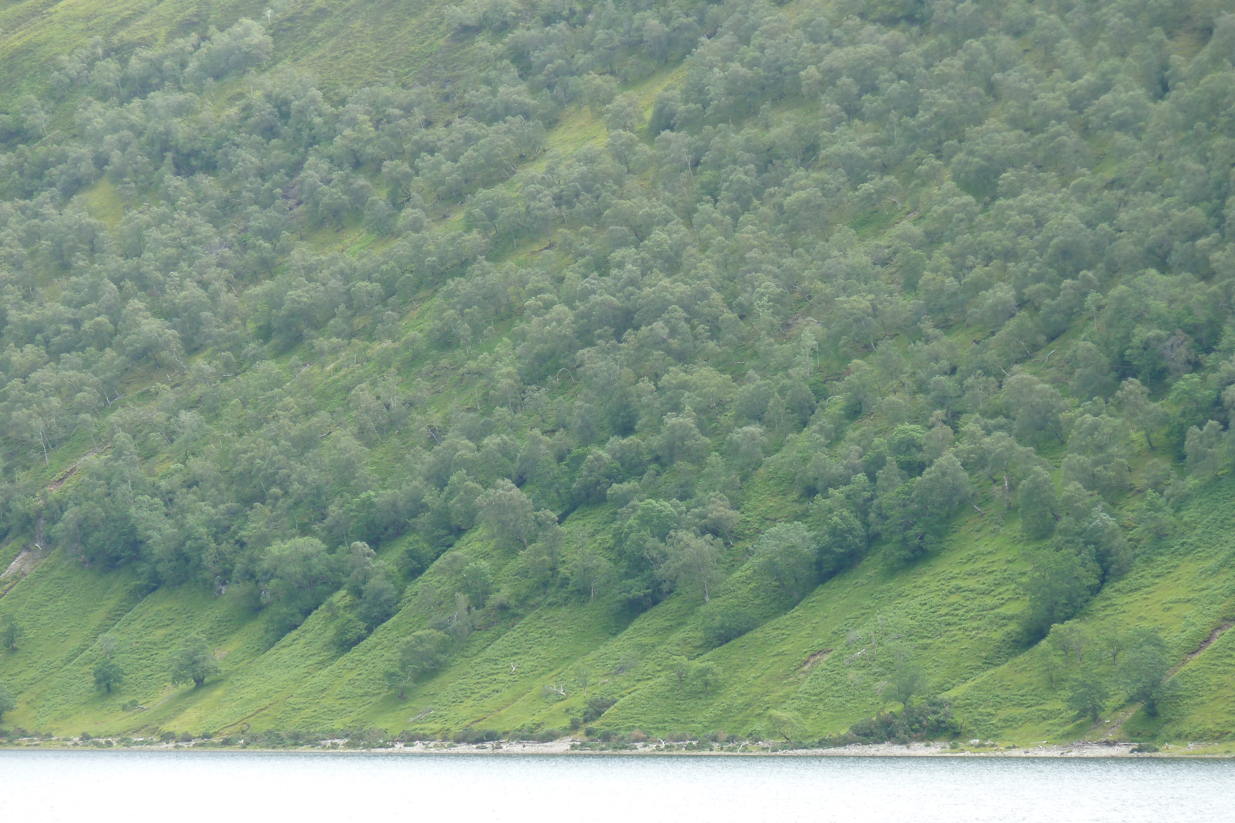 รูปถ่าย อังกฤษ(United Kingdom) เวสเตอร์รอสส์(Wester Ross) 2011-07 51