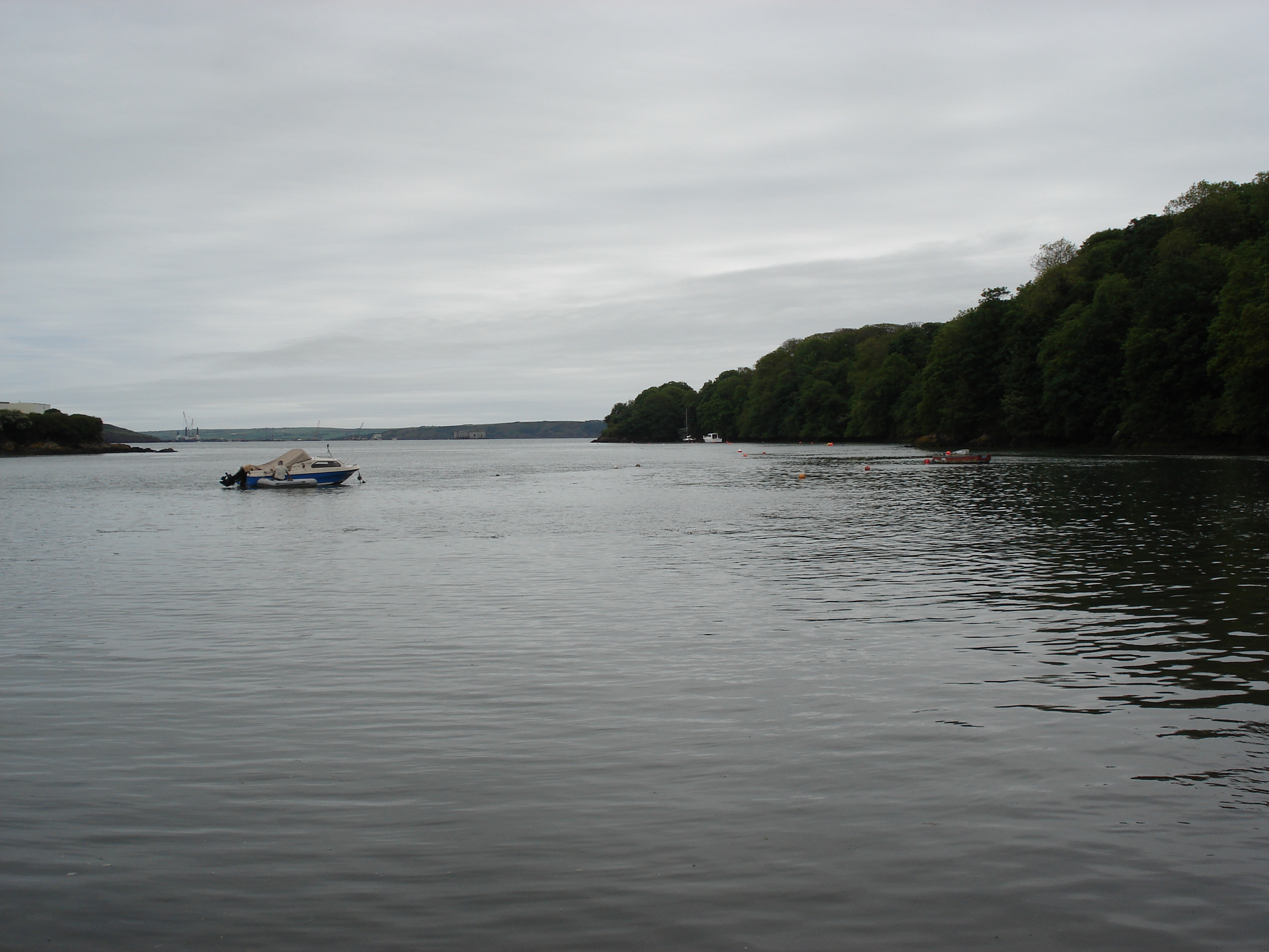 รูปถ่าย อังกฤษ(United Kingdom) เปมโบรคเชอร์(Pembrokeshire) 2006-05 51
