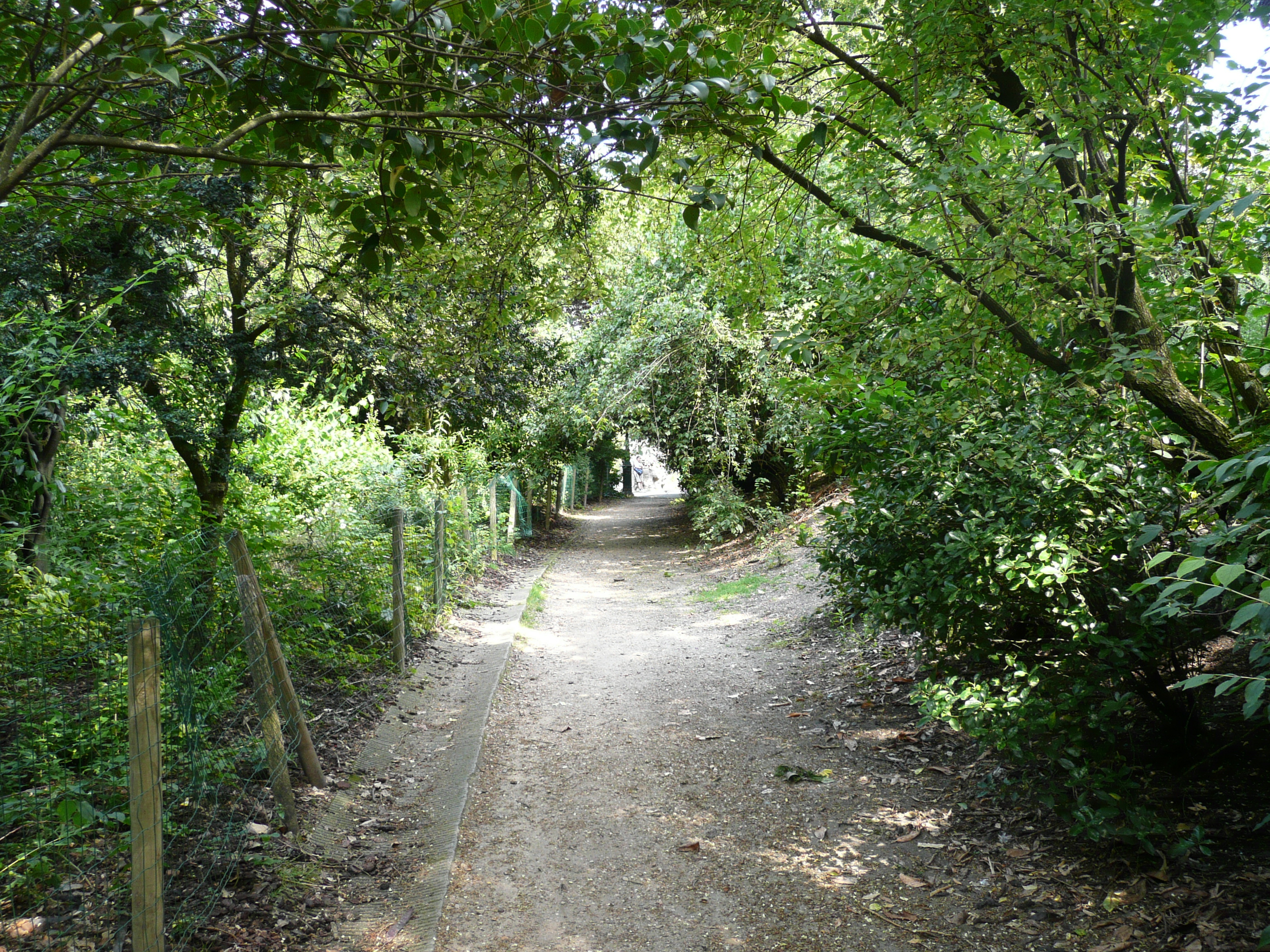รูปถ่าย ฝรั่งเศส(France) ปารีส(Paris) สวนบุต-โชมง(Parc des Buttes Chaumont) 2007-08 37