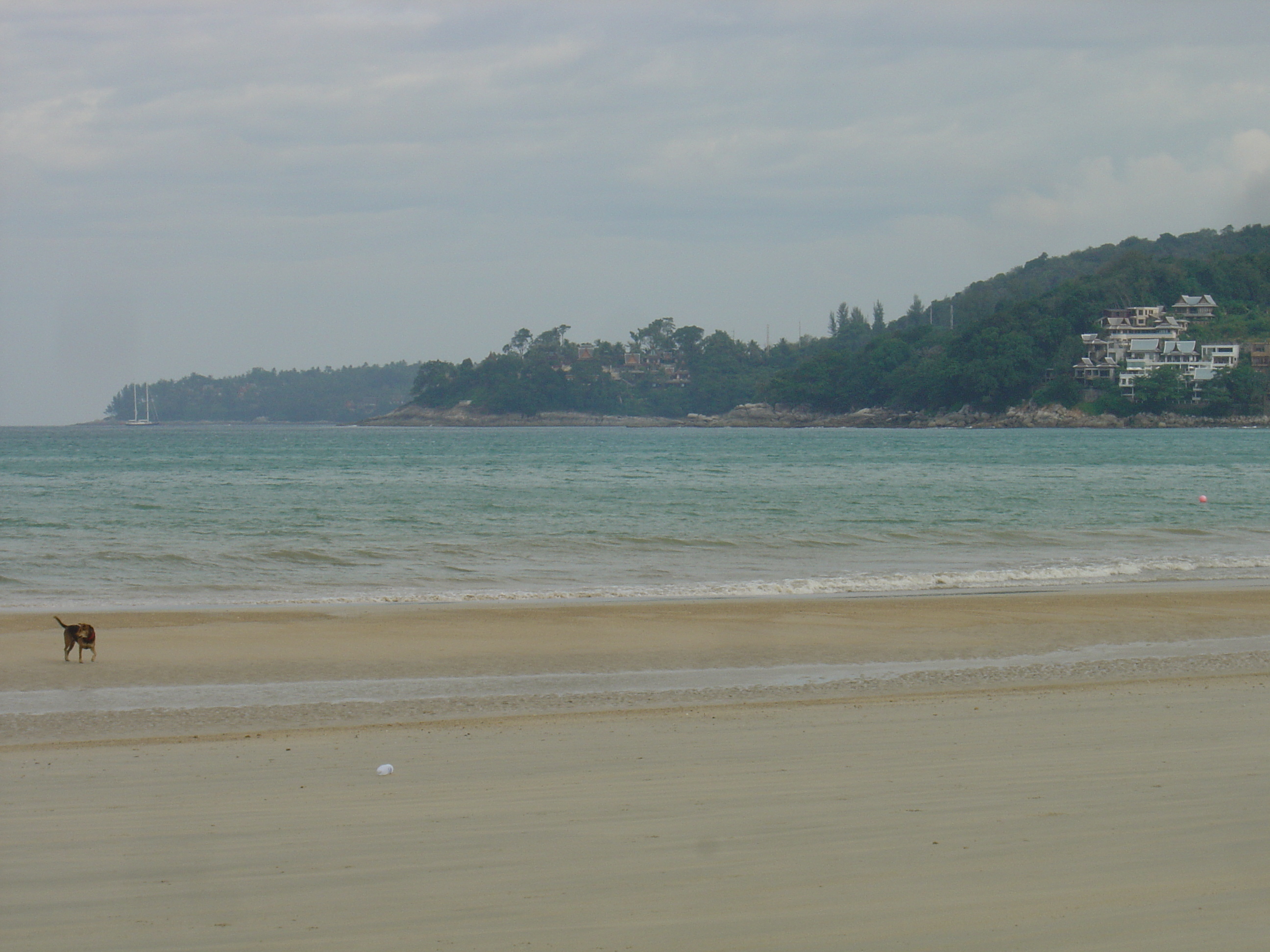 รูปถ่าย ไทย(Thailand) ภูเก็ต(Phuket) หาดกมลา(Kamala Beach) 2005-12 83