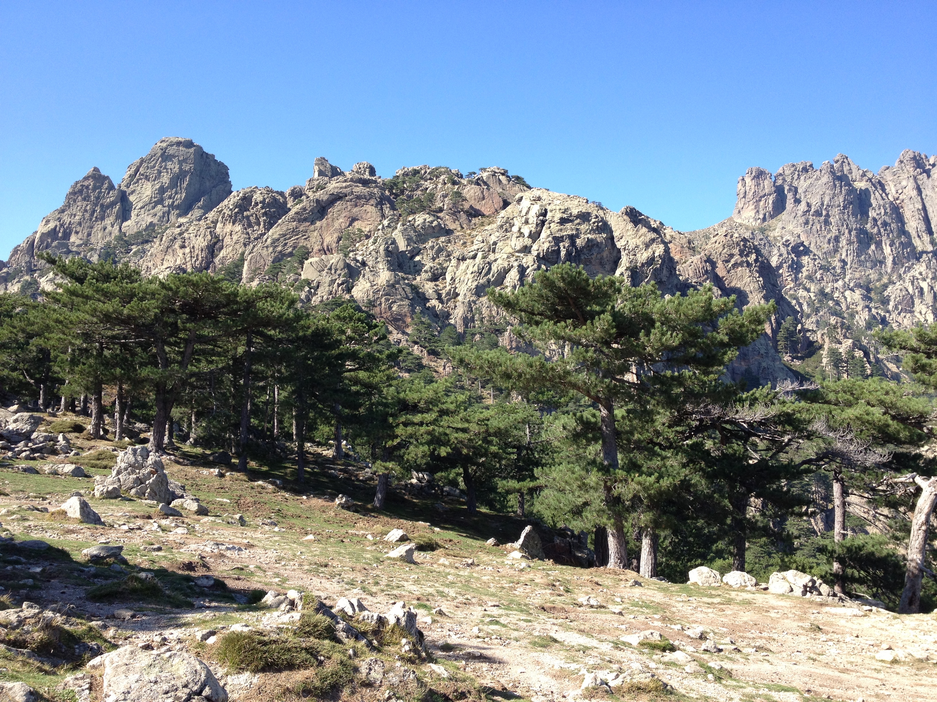 รูปถ่าย ฝรั่งเศส(France) คอร์สิคา(Corsica) บาแวลลา(Bavella) 2012-09 92