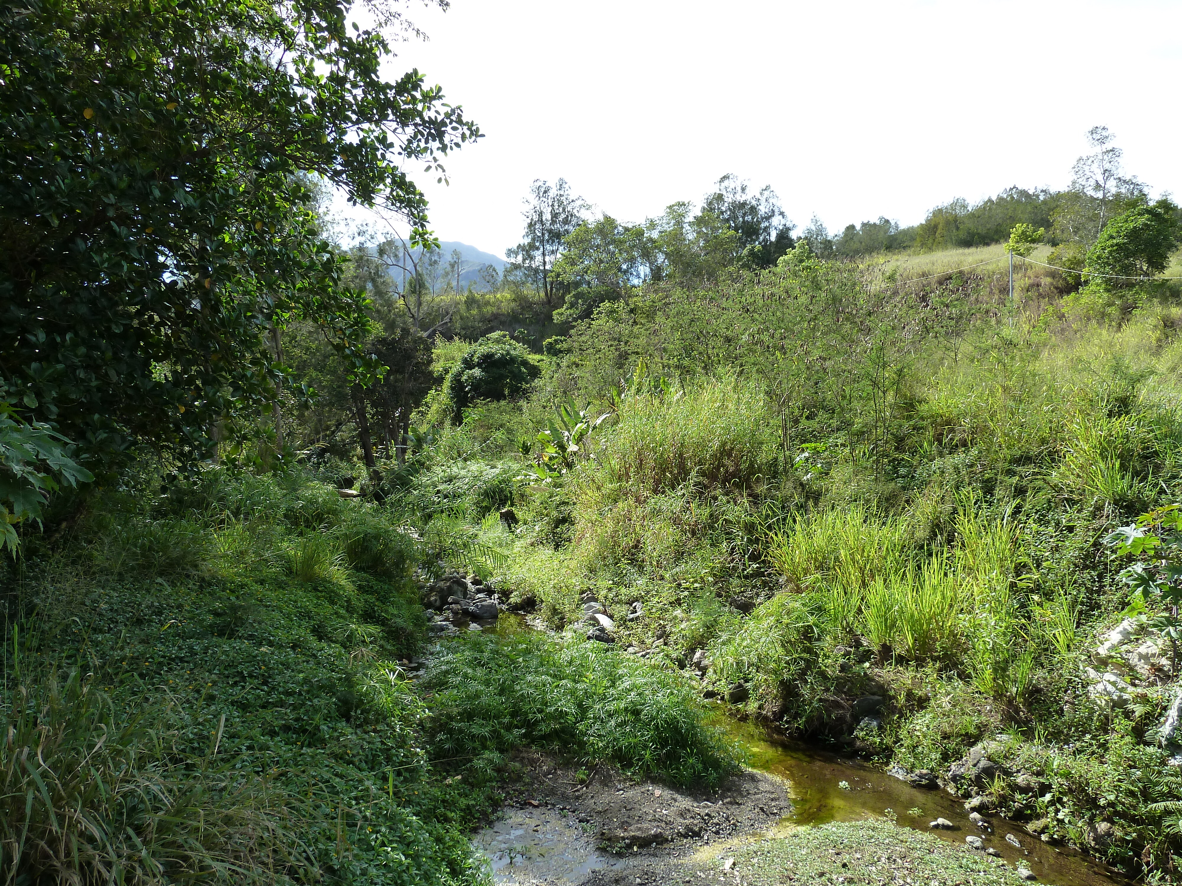 รูปถ่าย นิวแคลิโดเนีย(New Caledonia) ถนนจากตงตูตาไปทีโอ(Tontouta to Thio road) 2010-05 138