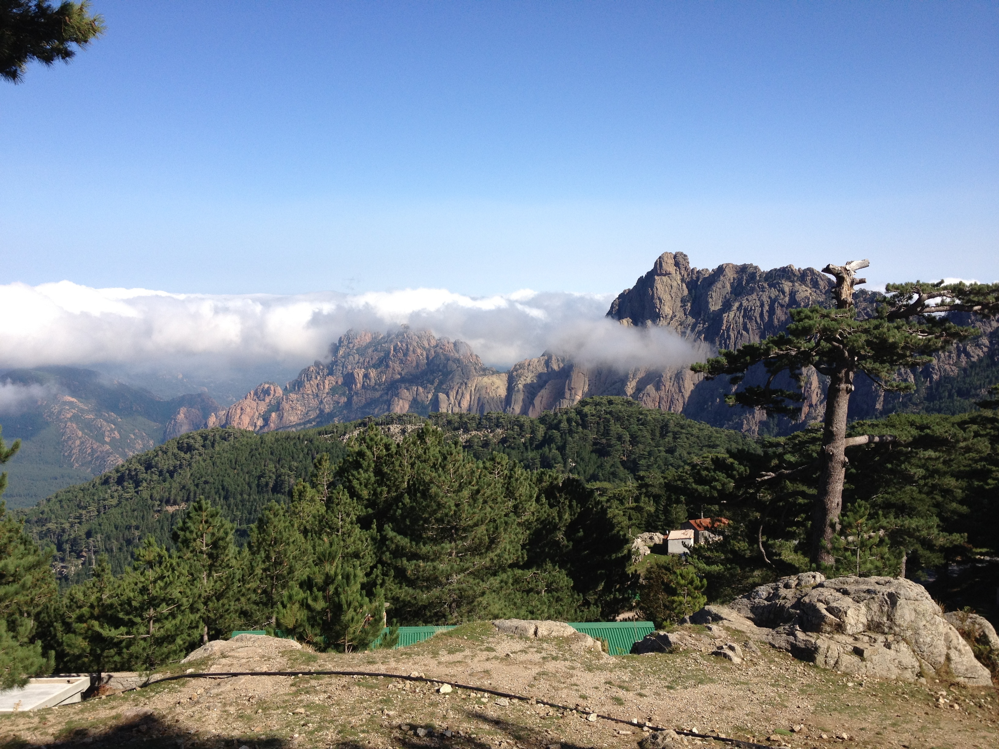รูปถ่าย ฝรั่งเศส(France) คอร์สิคา(Corsica) บาแวลลา(Bavella) 2012-09 91