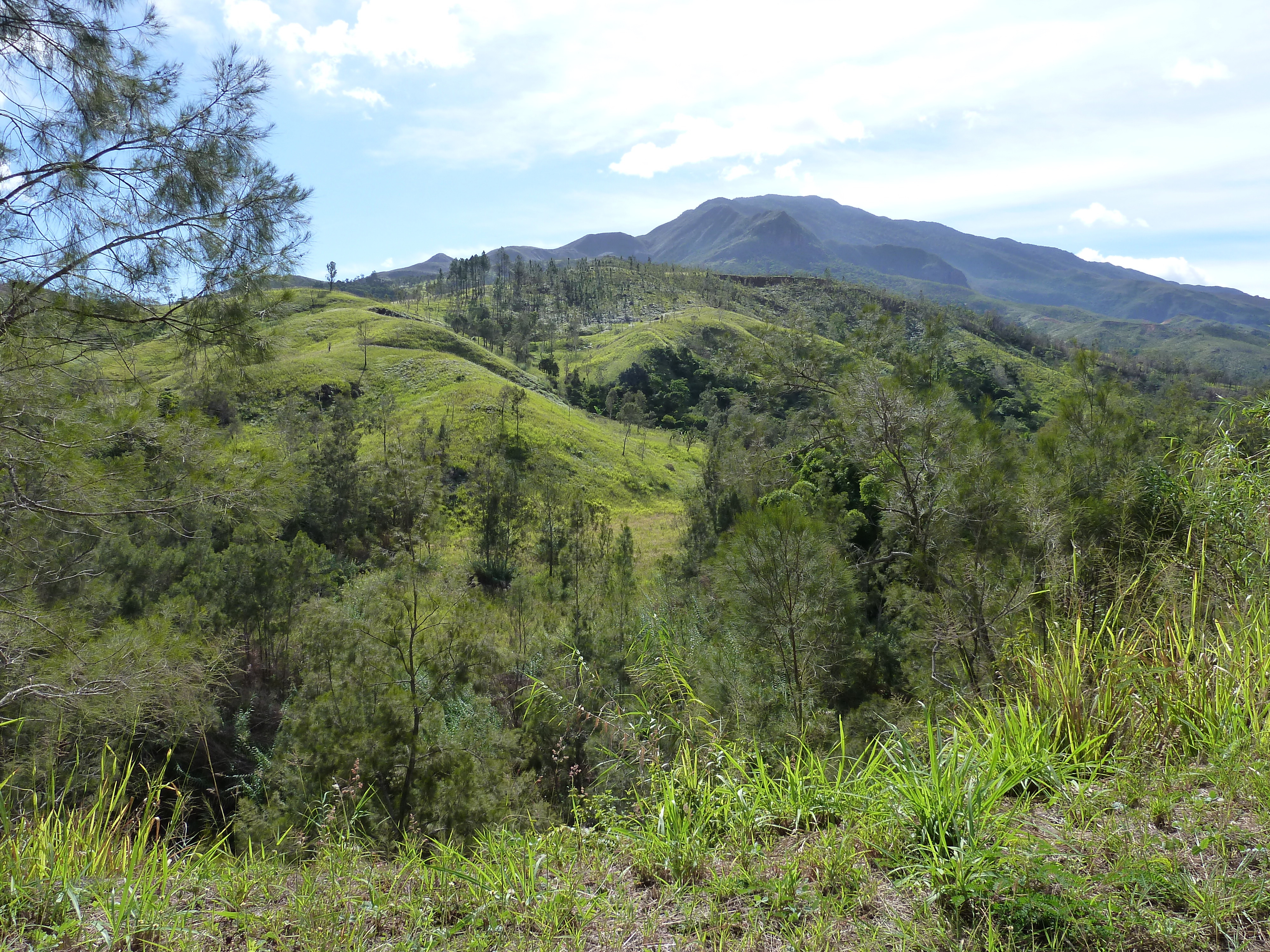 รูปถ่าย นิวแคลิโดเนีย(New Caledonia) ถนนจากตงตูตาไปทีโอ(Tontouta to Thio road) 2010-05 118