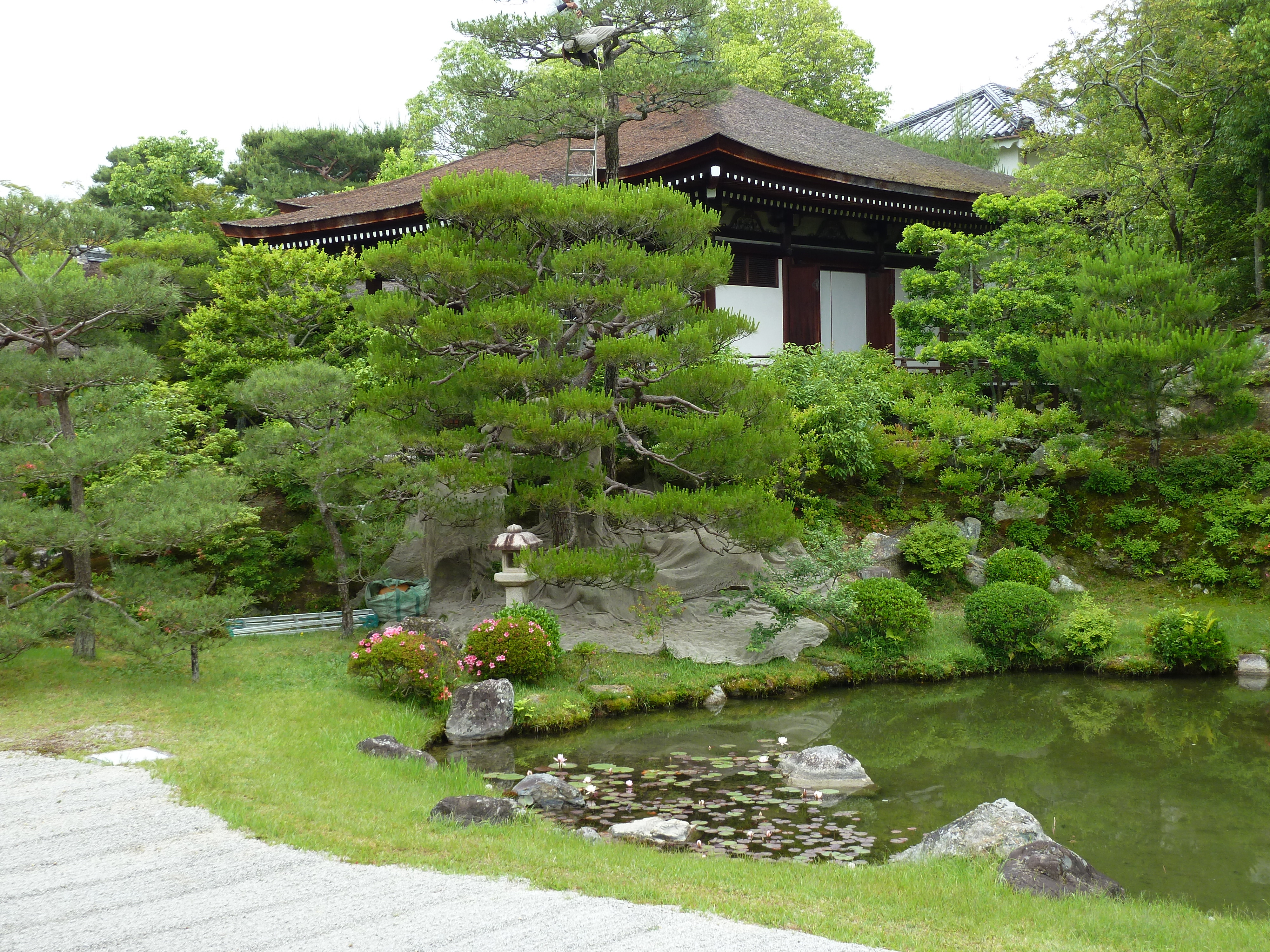 รูปถ่าย ญี่ปุ่น(Japan) เกียวโต(Kyoto) ตำหนักหลวงวัดนินนะจิ(Ninna ji imperial Residence) 2010-06 32