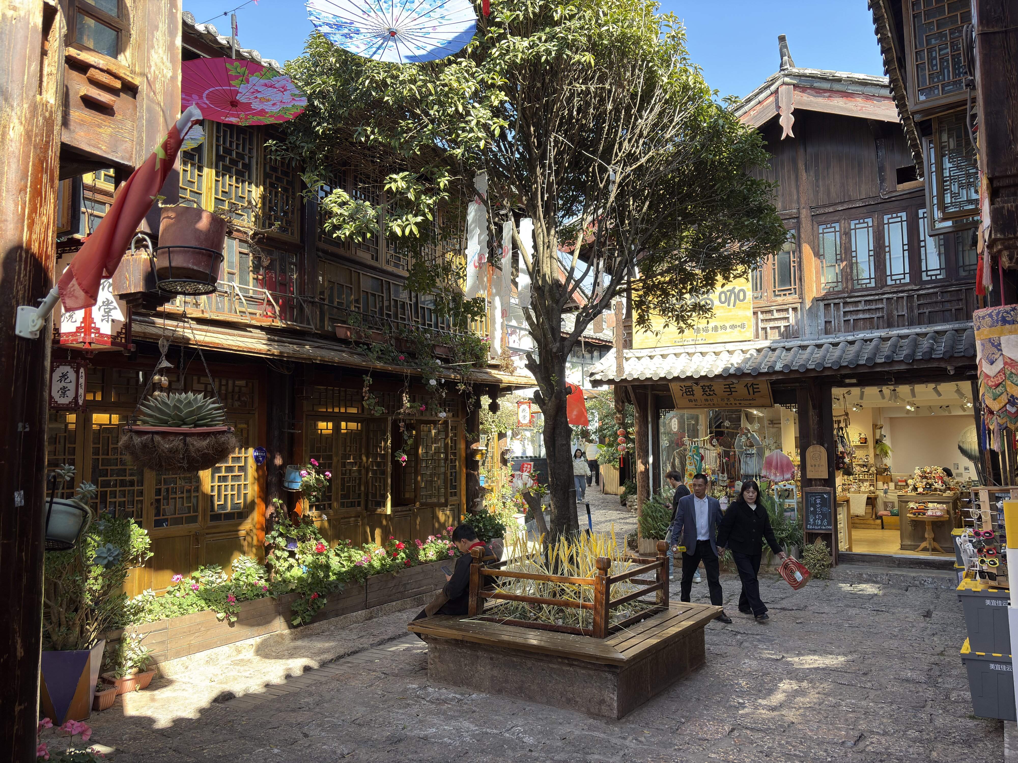 รูปถ่าย จีน(China) ลี่เจียง(Lijiang) 2026-01 649