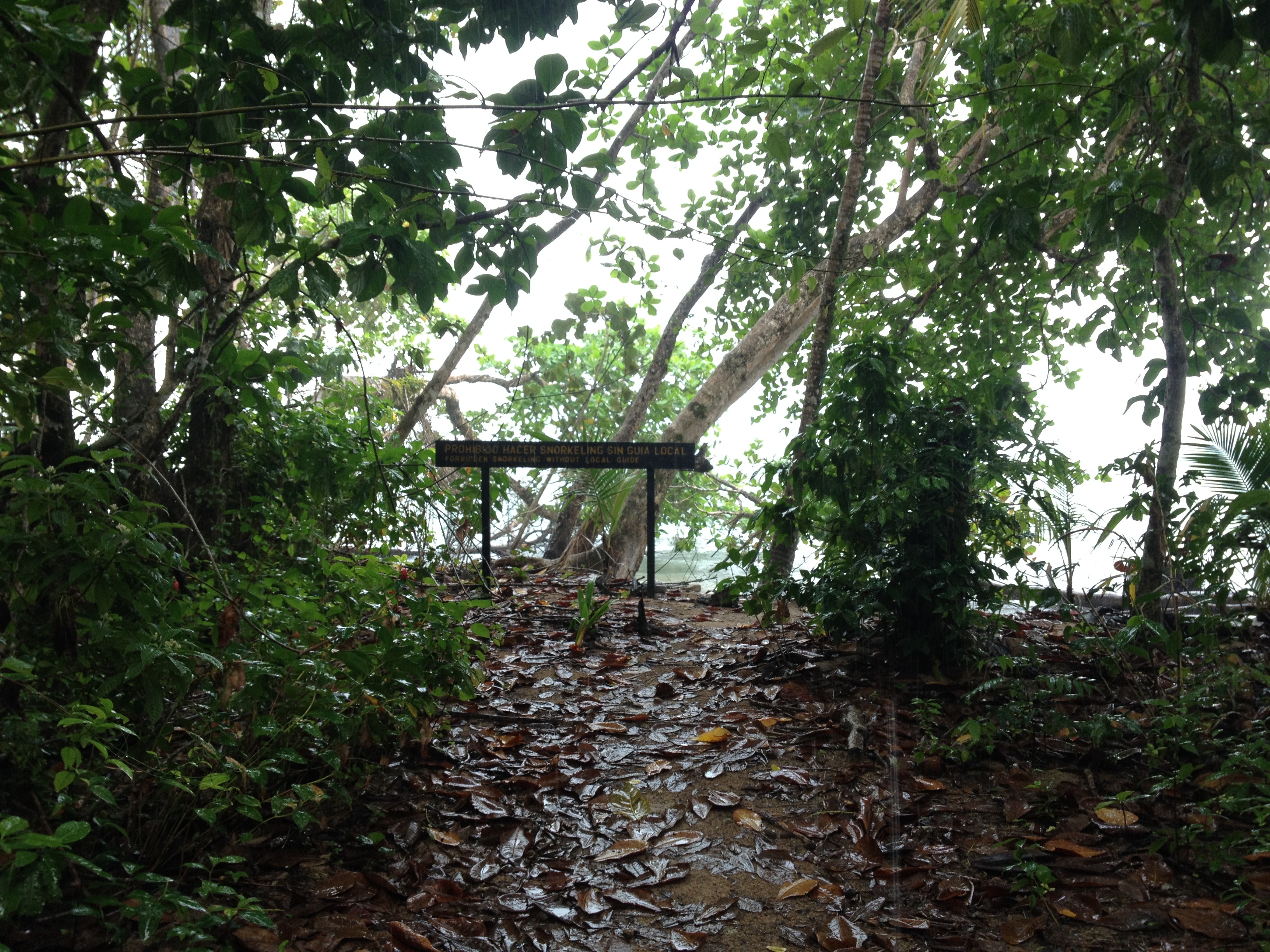 รูปถ่าย คอสตาริกา(Costa Rica) กาอุยตา(Cahuita) 2015-03 271