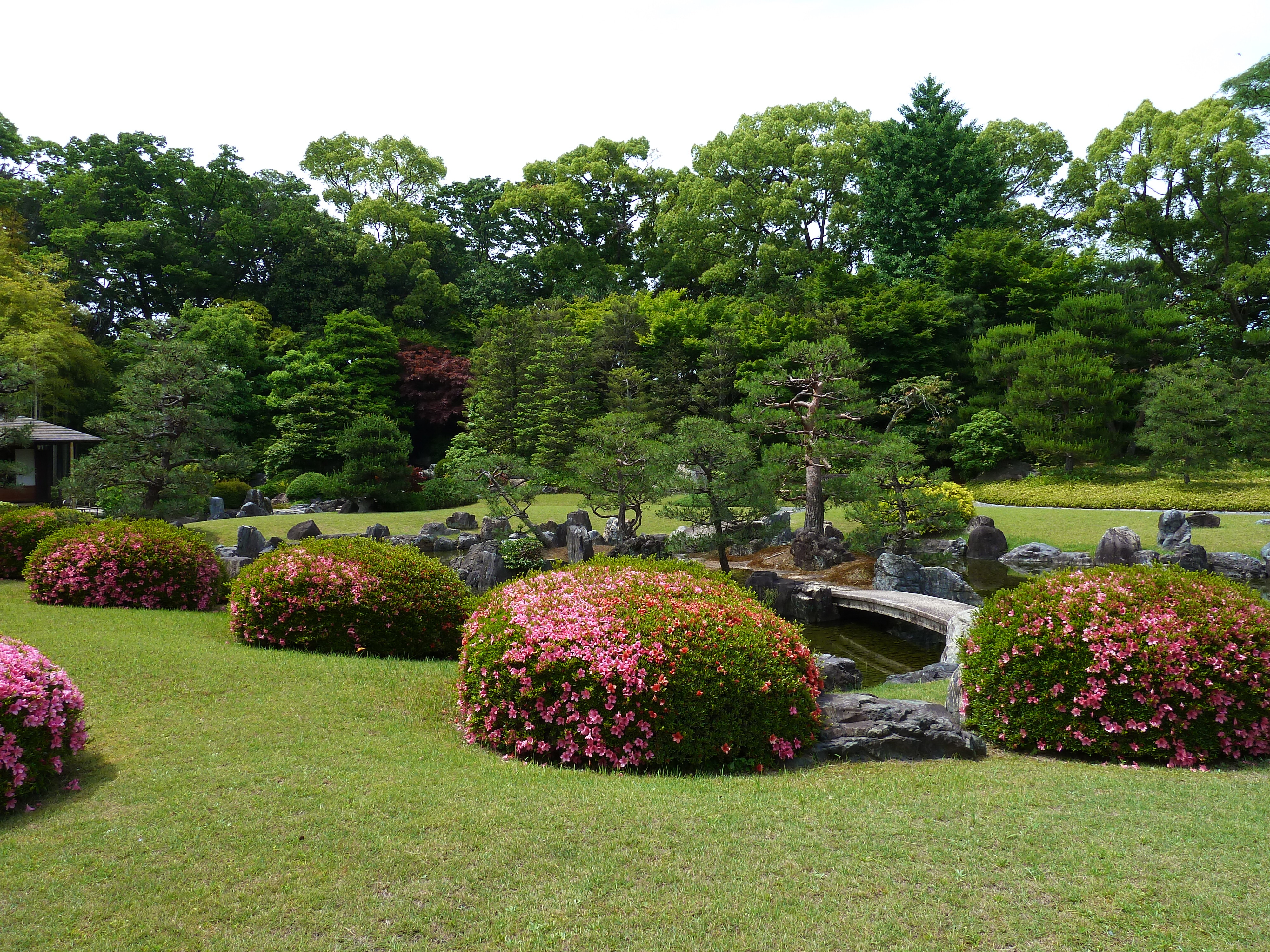 รูปถ่าย ญี่ปุ่น(Japan) เกียวโต(Kyoto) ปราสาทนิโจ(Nijo Castle) 2010-06 123