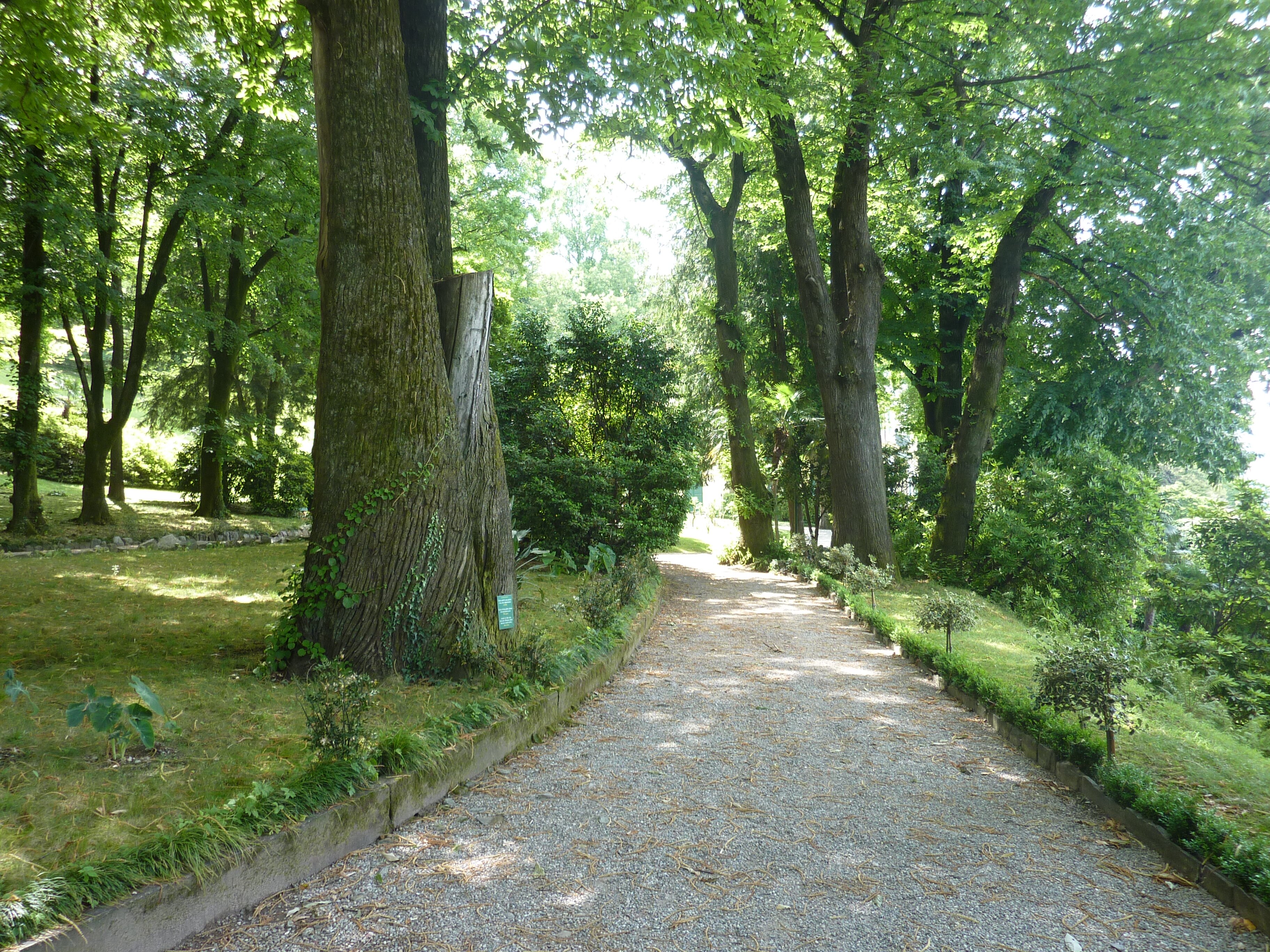 รูปถ่าย อิตาลี(Italy) วิลลาปัลลาวีชีโน(Villa Pallavicino) 2009-06 9