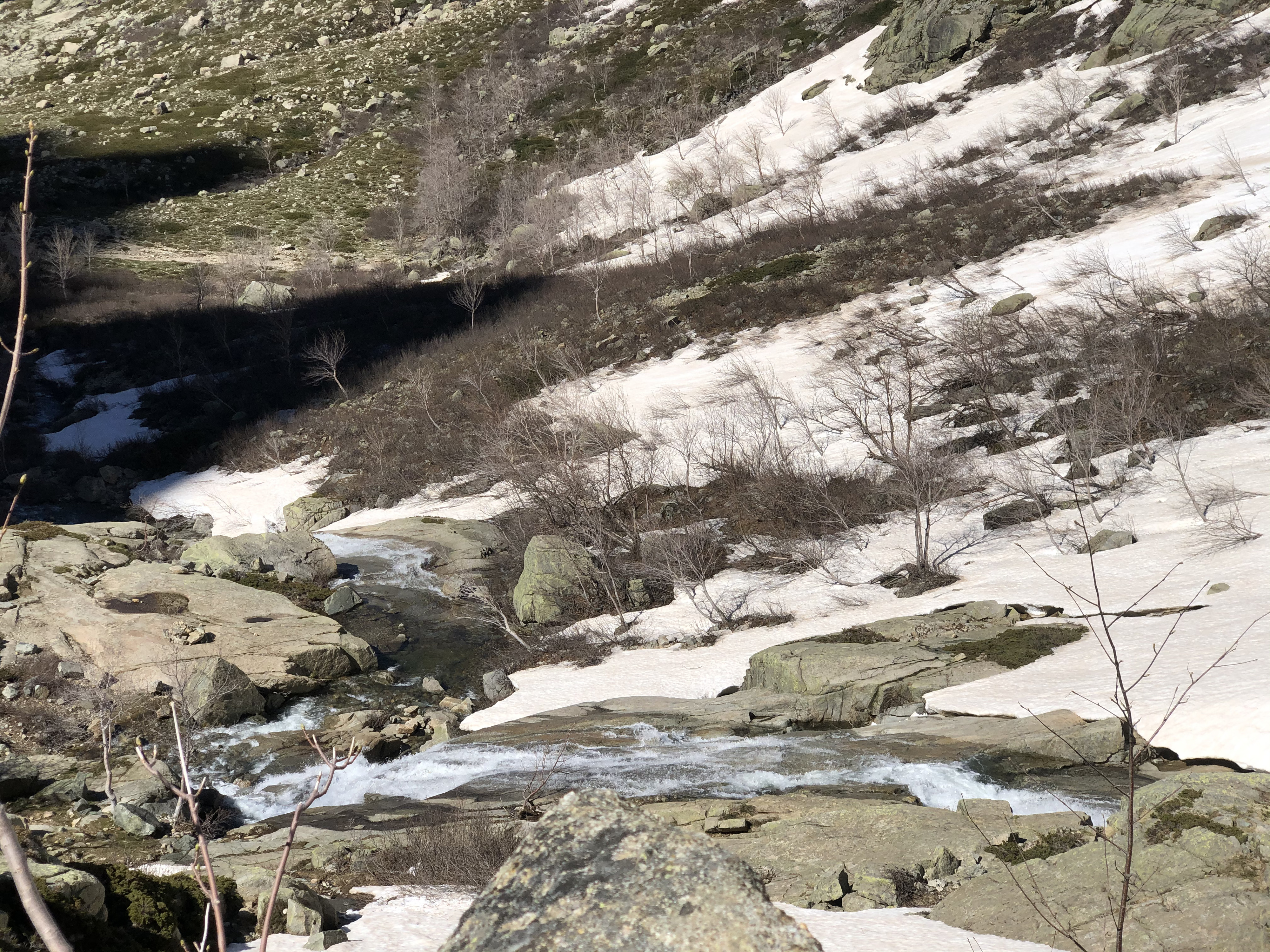 รูปถ่าย ฝรั่งเศส(France) คอร์สิคา(Corsica) ทะเลสาบเมโลและกาปีเตลโล(Lac de Melo et Capitello) 2021-06 9