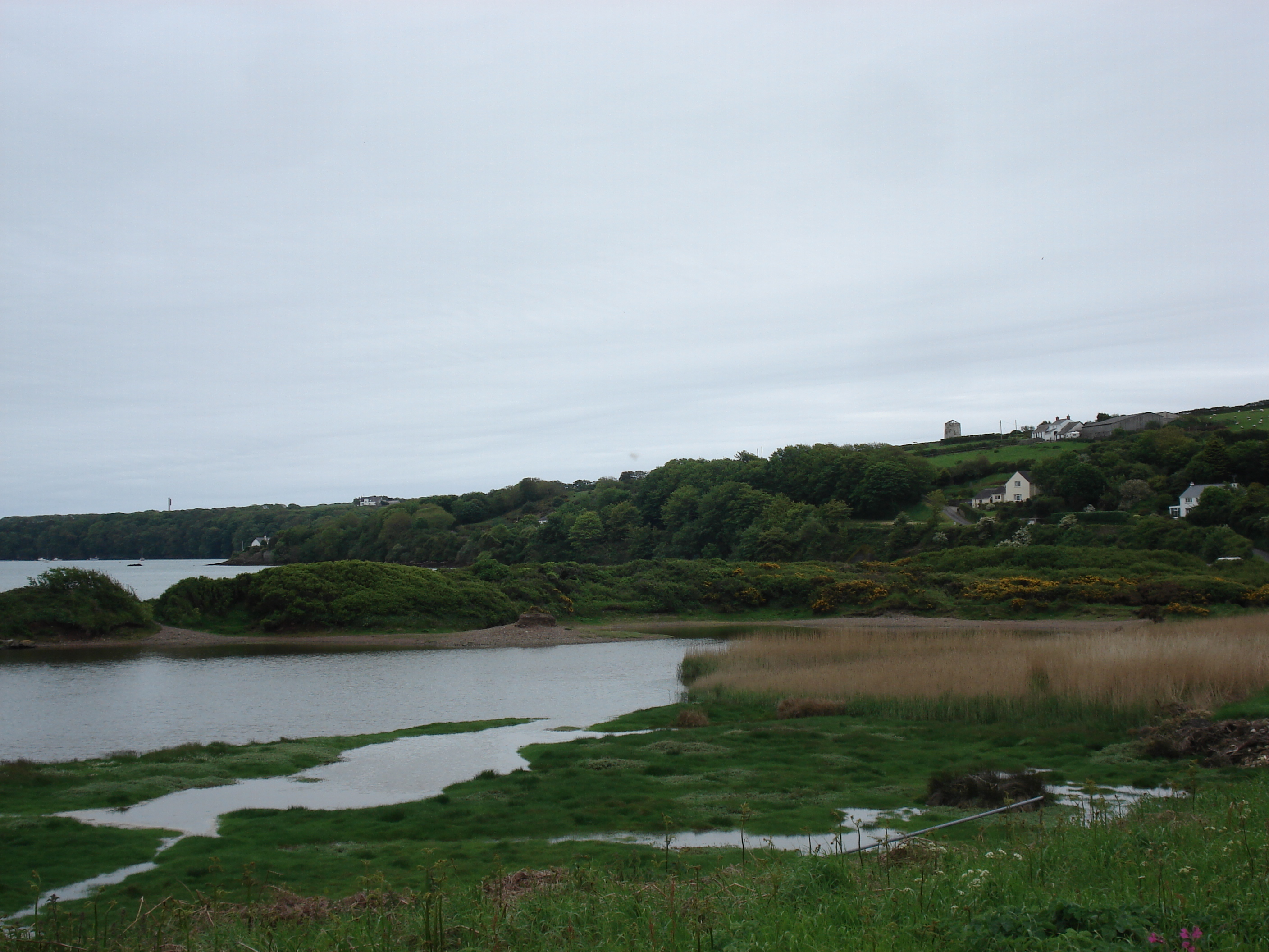 รูปถ่าย อังกฤษ(United Kingdom) เปมโบรคเชอร์(Pembrokeshire) เดล(Dale) 2006-05 0