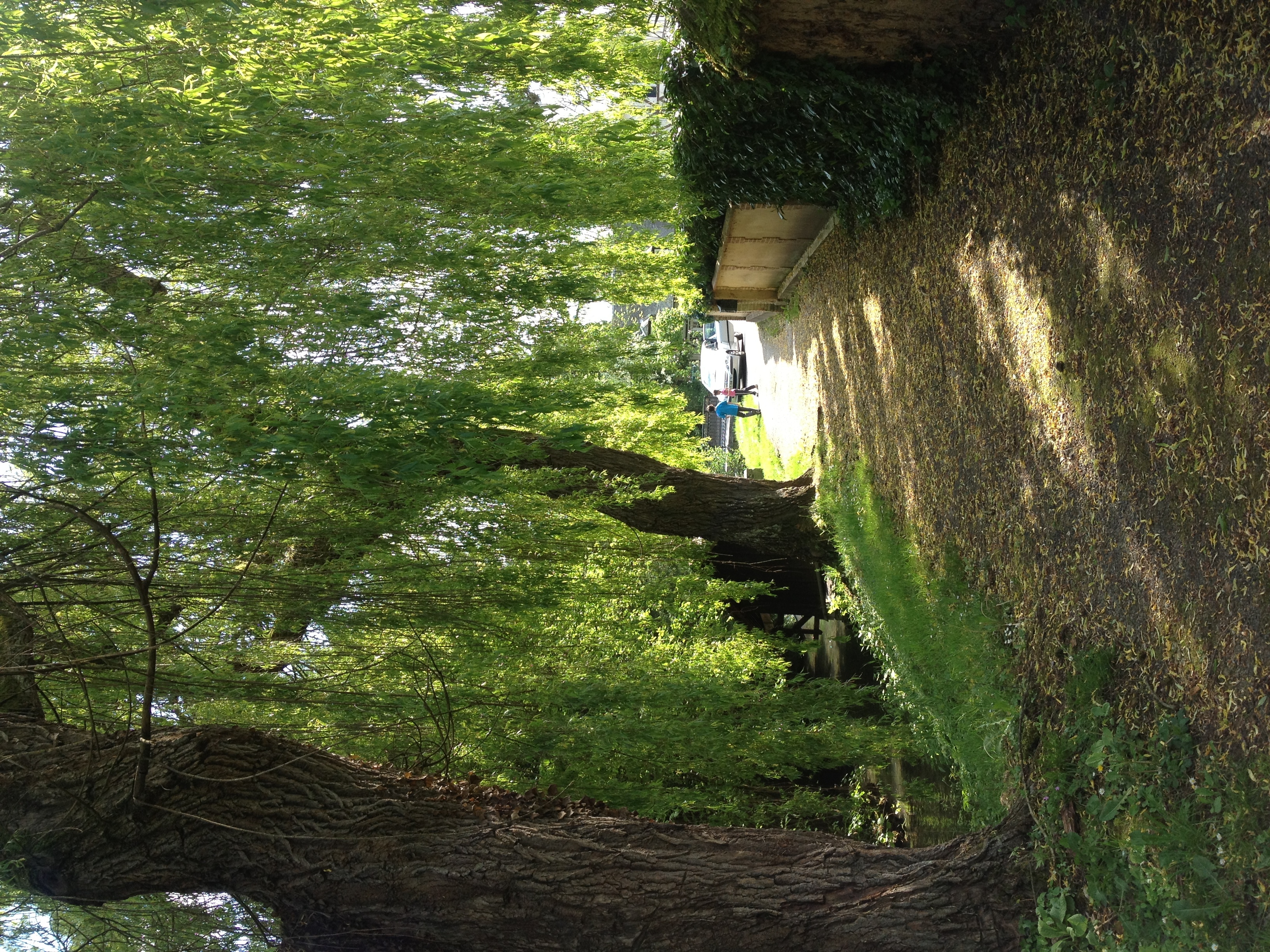 รูปถ่าย ฝรั่งเศส(France) ลียงส์-ลา-ฟอแร(Lyons La Foret) 2014-05 73