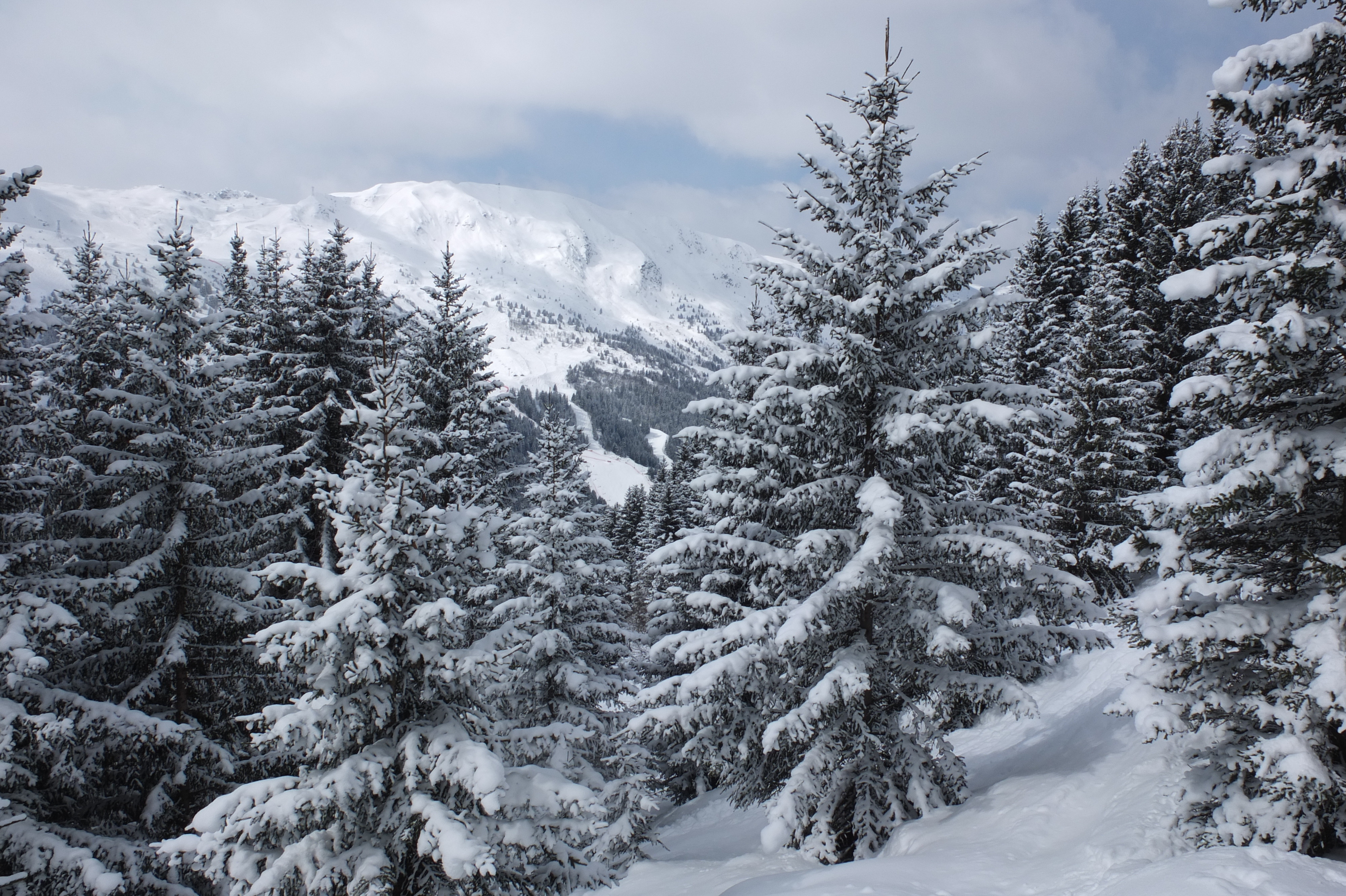 รูปถ่าย ฝรั่งเศส(France) เลทรัววาเล(Les 3 Vallees) 2013-03 284