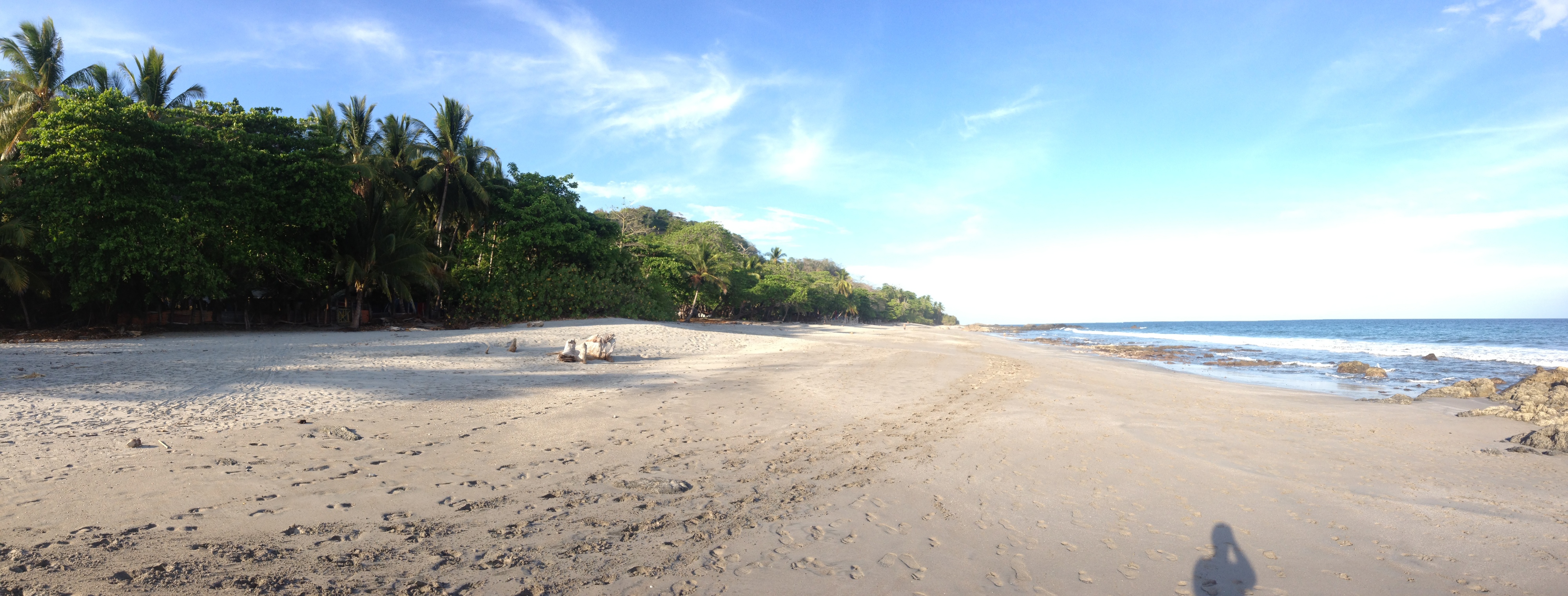 รูปถ่าย คอสตาริกา(Costa Rica) มอนเตซูมา(Montezuma) 2015-03 393