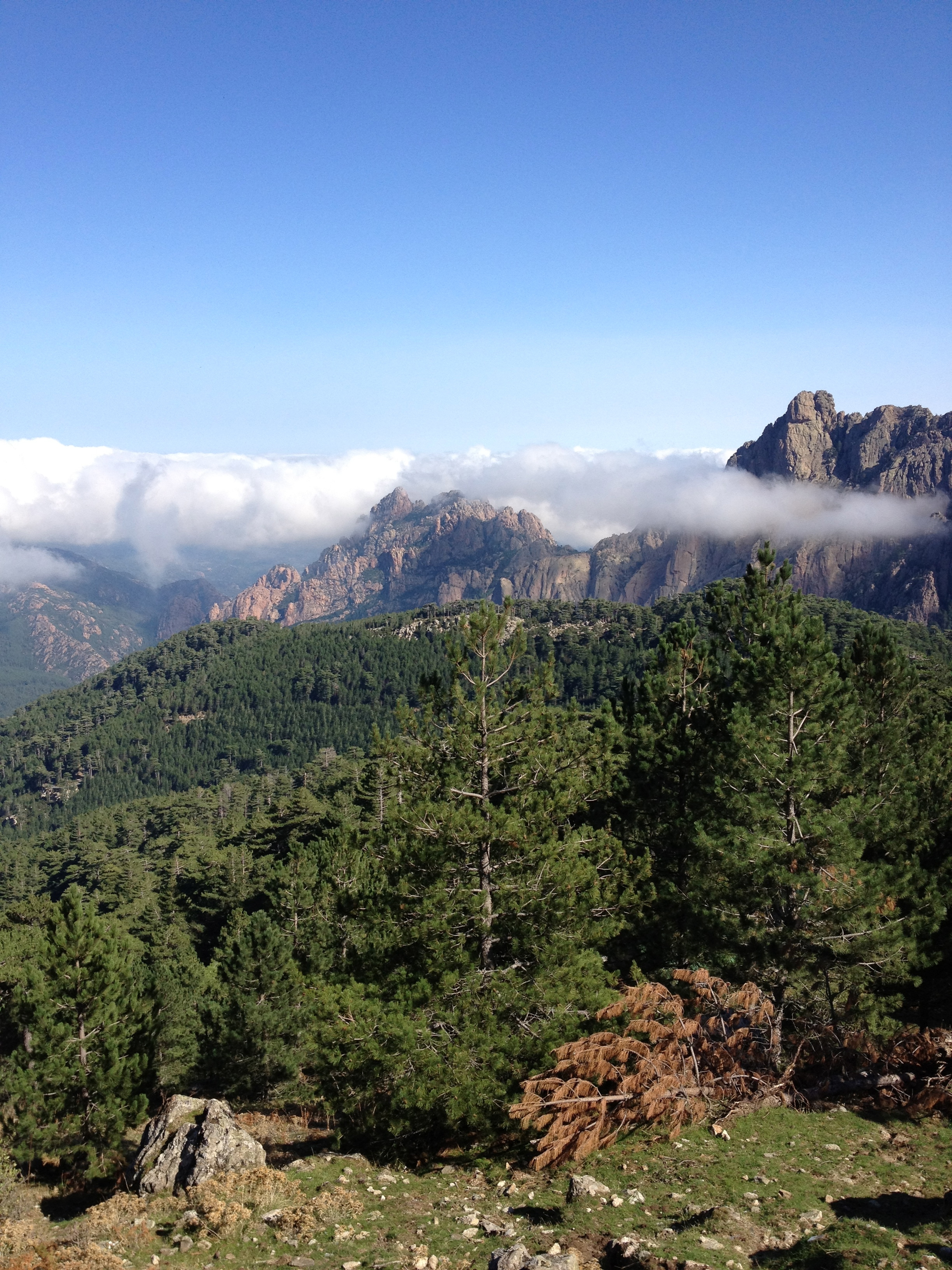 รูปถ่าย ฝรั่งเศส(France) คอร์สิคา(Corsica) บาแวลลา(Bavella) 2012-09 80