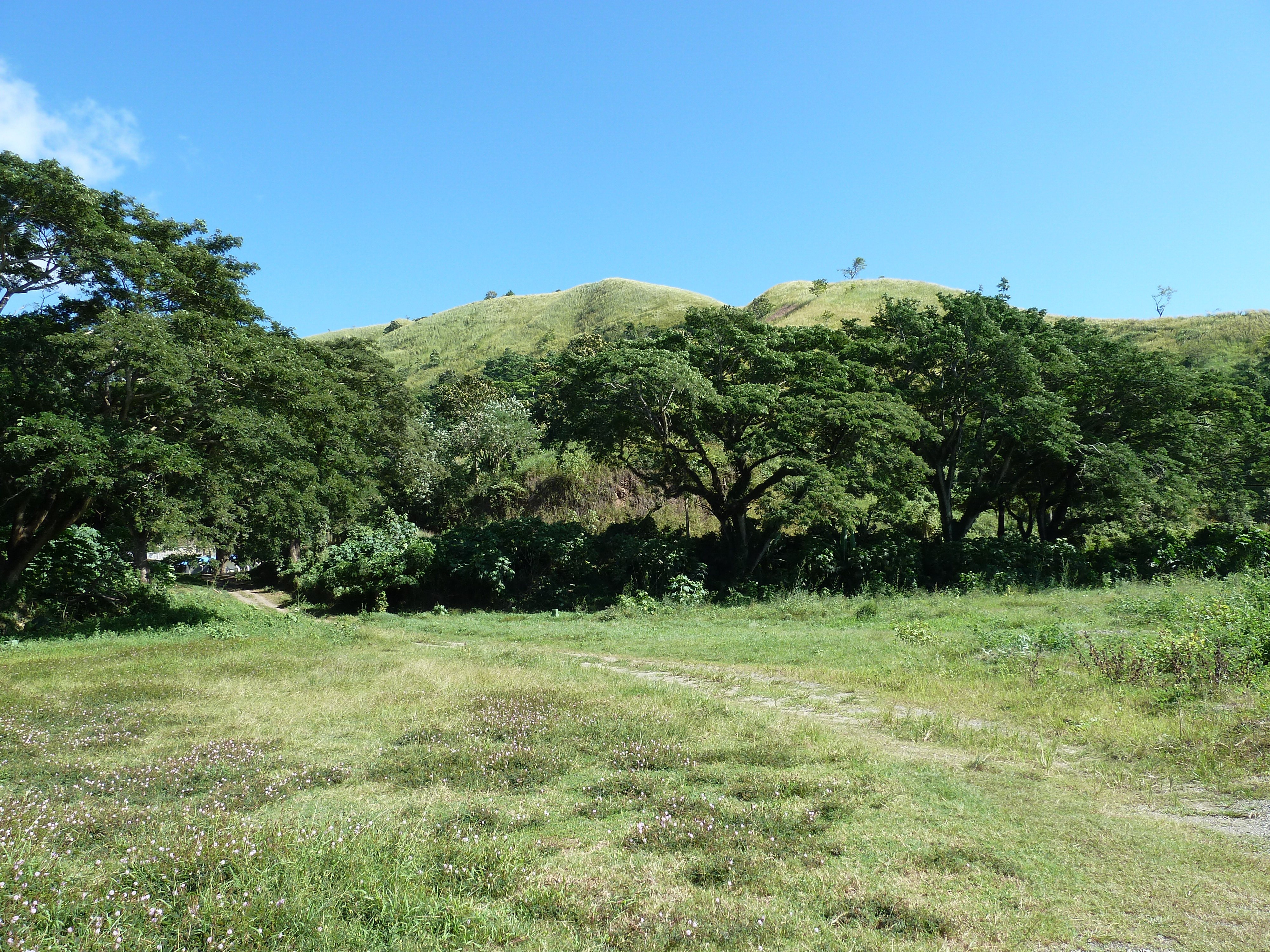 รูปถ่าย ฟิจิ(Fiji) แม่น้ำซิงกาโตกา(Sigatoka river) 2010-05 19