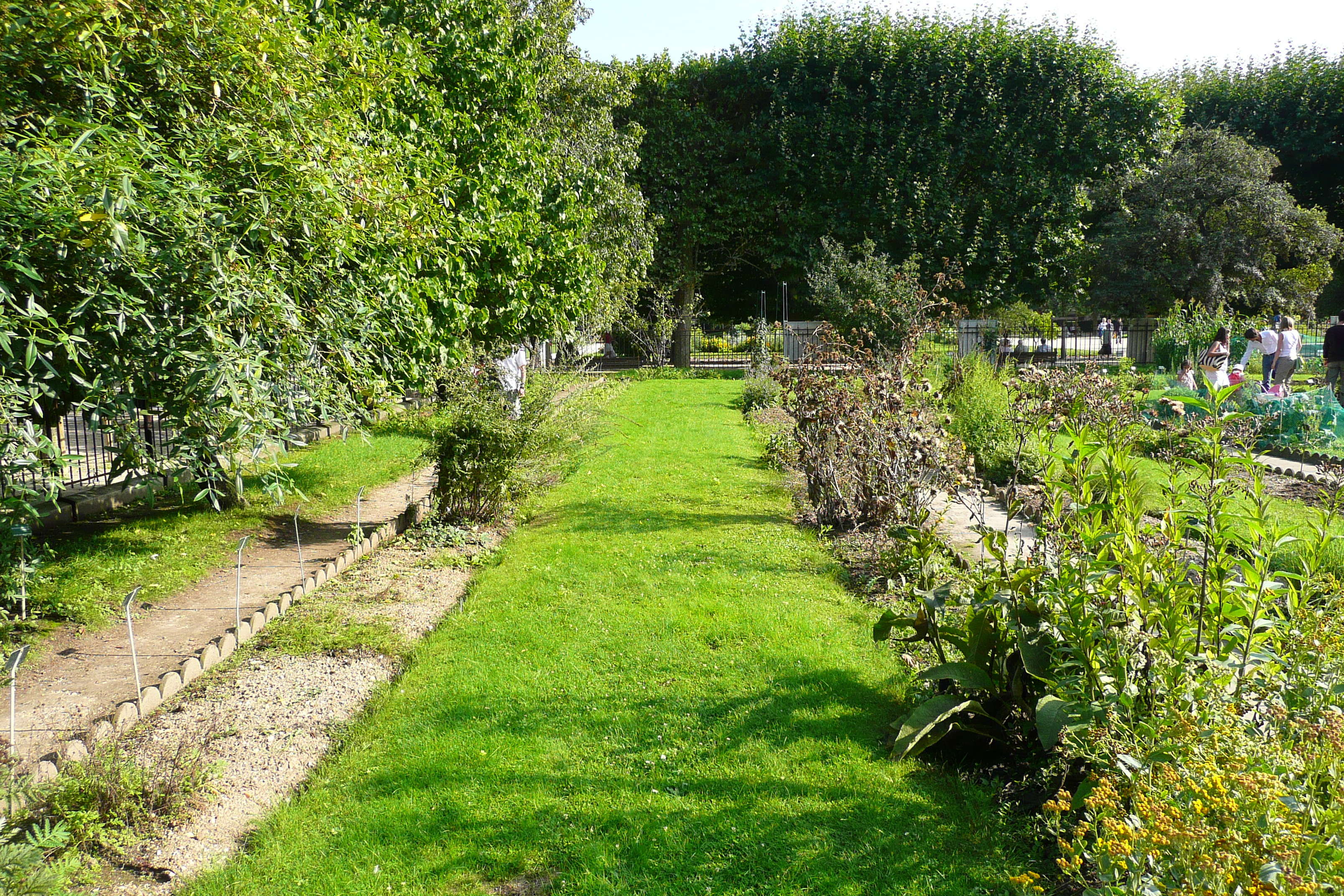 รูปถ่าย ฝรั่งเศส(France) ปารีส(Paris) สวนพันธ์ุพืช(Jardin des Plantes) 2007-08 95