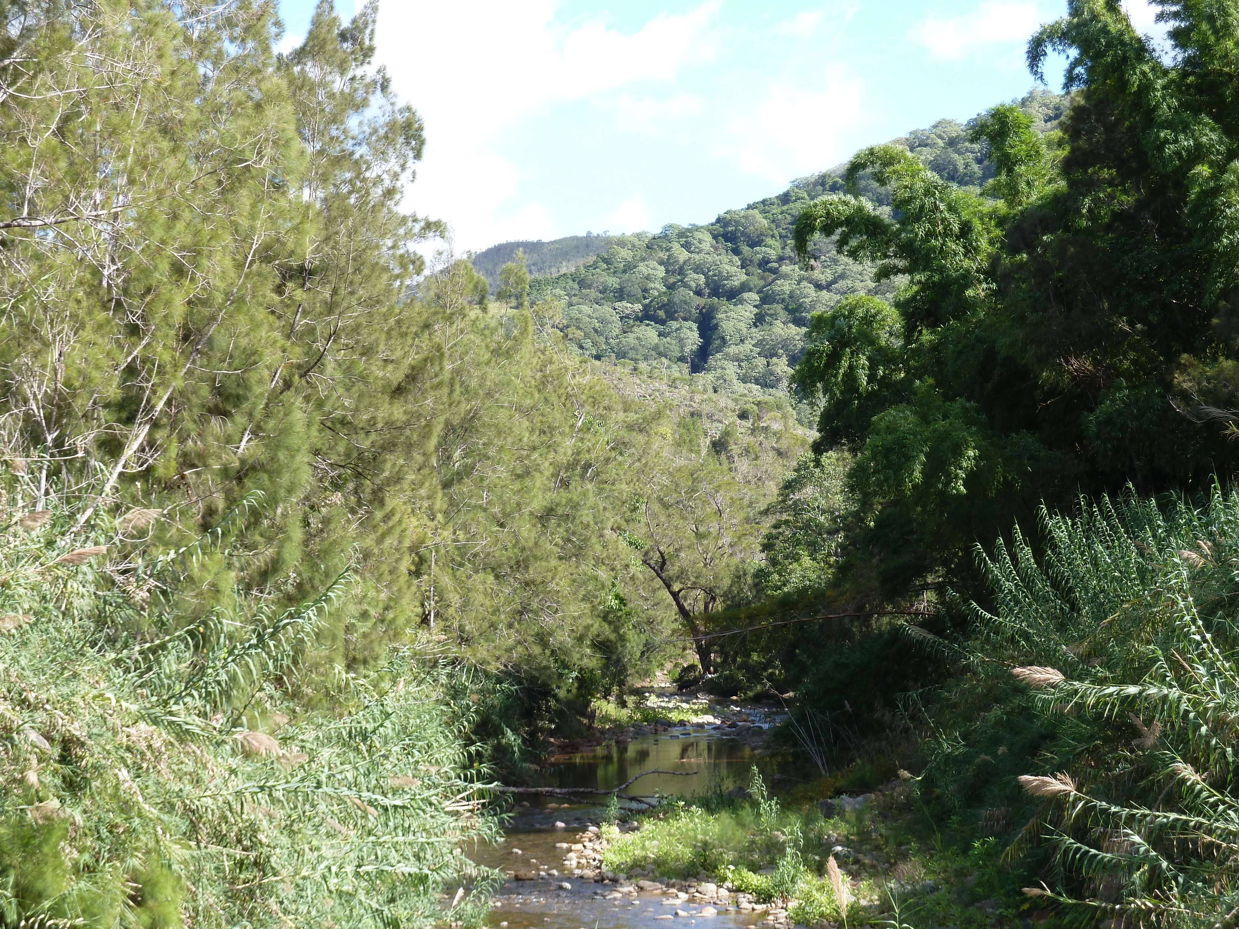 รูปถ่าย นิวแคลิโดเนีย(New Caledonia) ถนนจากตงตูตาไปทีโอ(Tontouta to Thio road) 2010-05 31