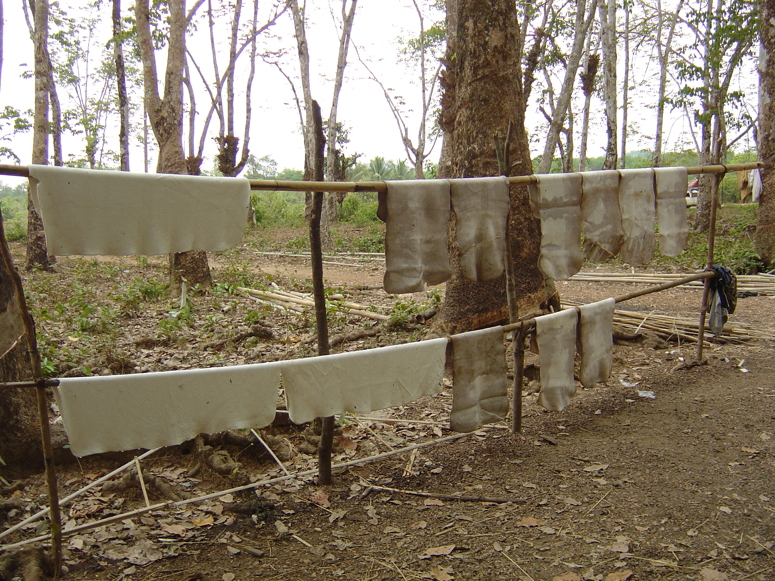 รูปถ่าย พม่า(Myanmar) ถนนจากทวายไปหาดหม่องมะกัน(Road from Dawei to Maungmagan beach) 2005-01 46