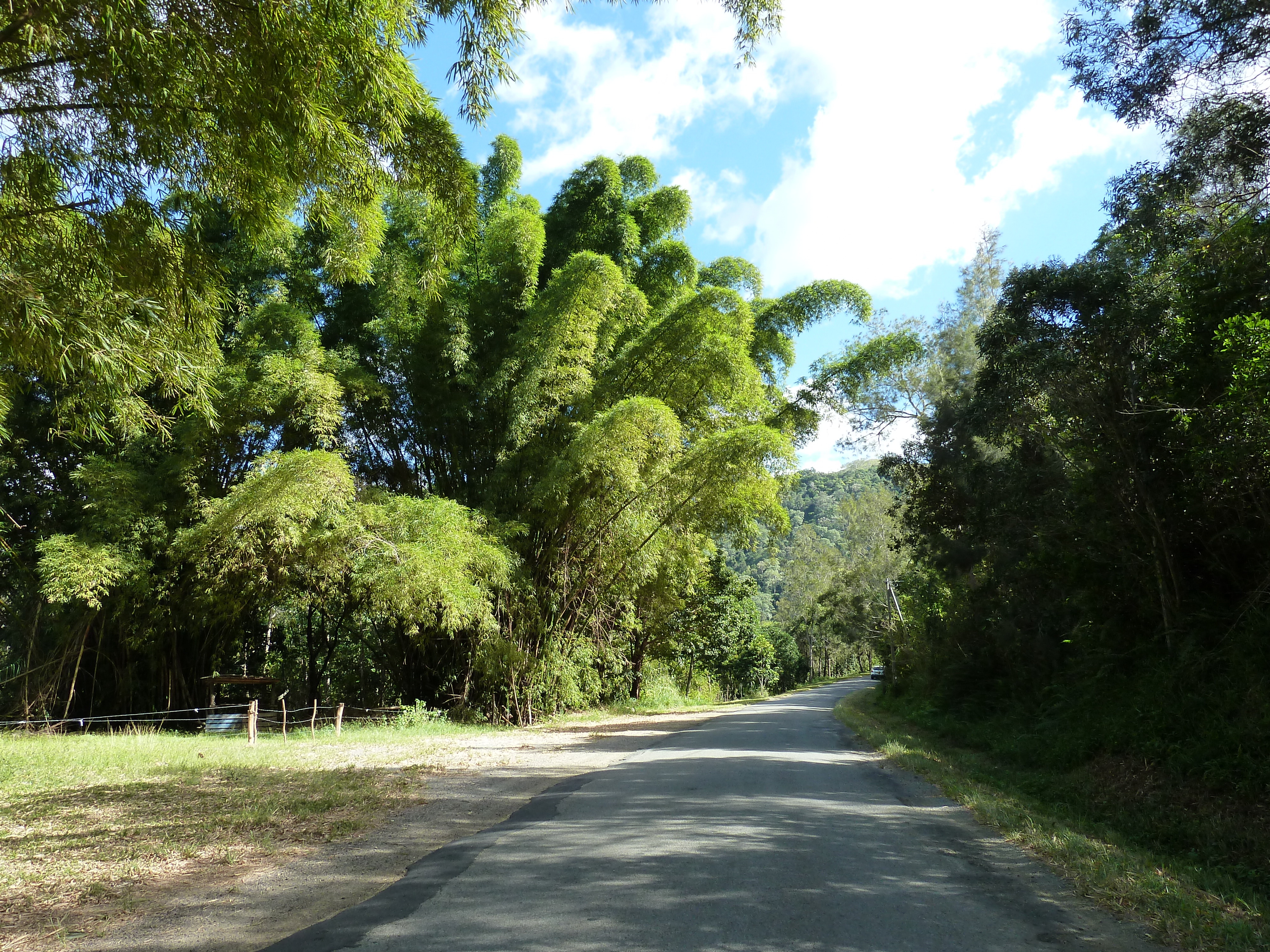 รูปถ่าย นิวแคลิโดเนีย(New Caledonia) 2010-05 16