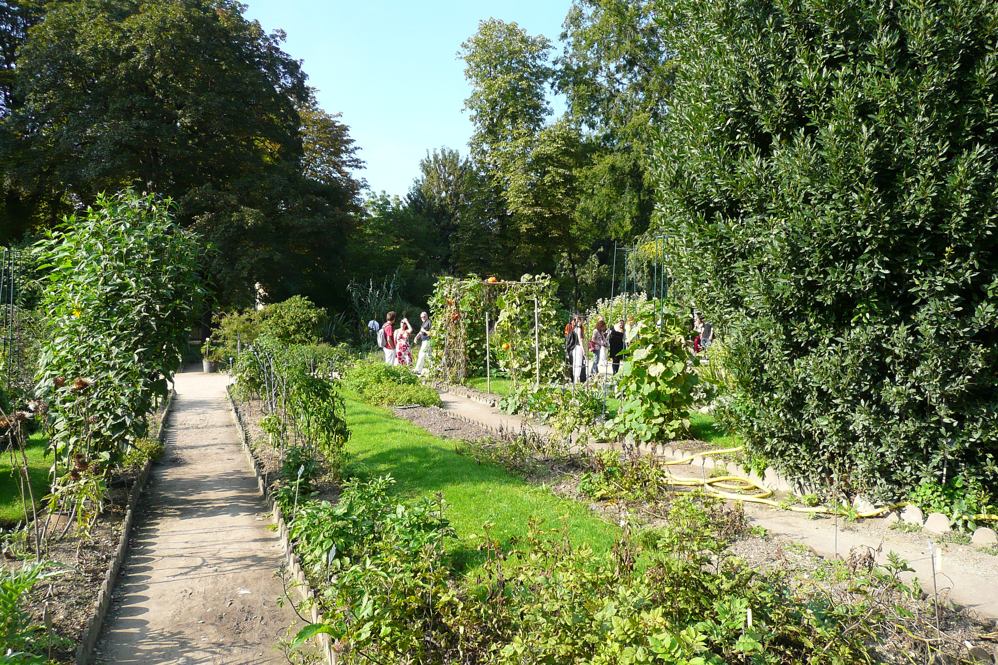 รูปถ่าย ฝรั่งเศส(France) ปารีส(Paris) สวนพันธ์ุพืช(Jardin des Plantes) 2007-08 77