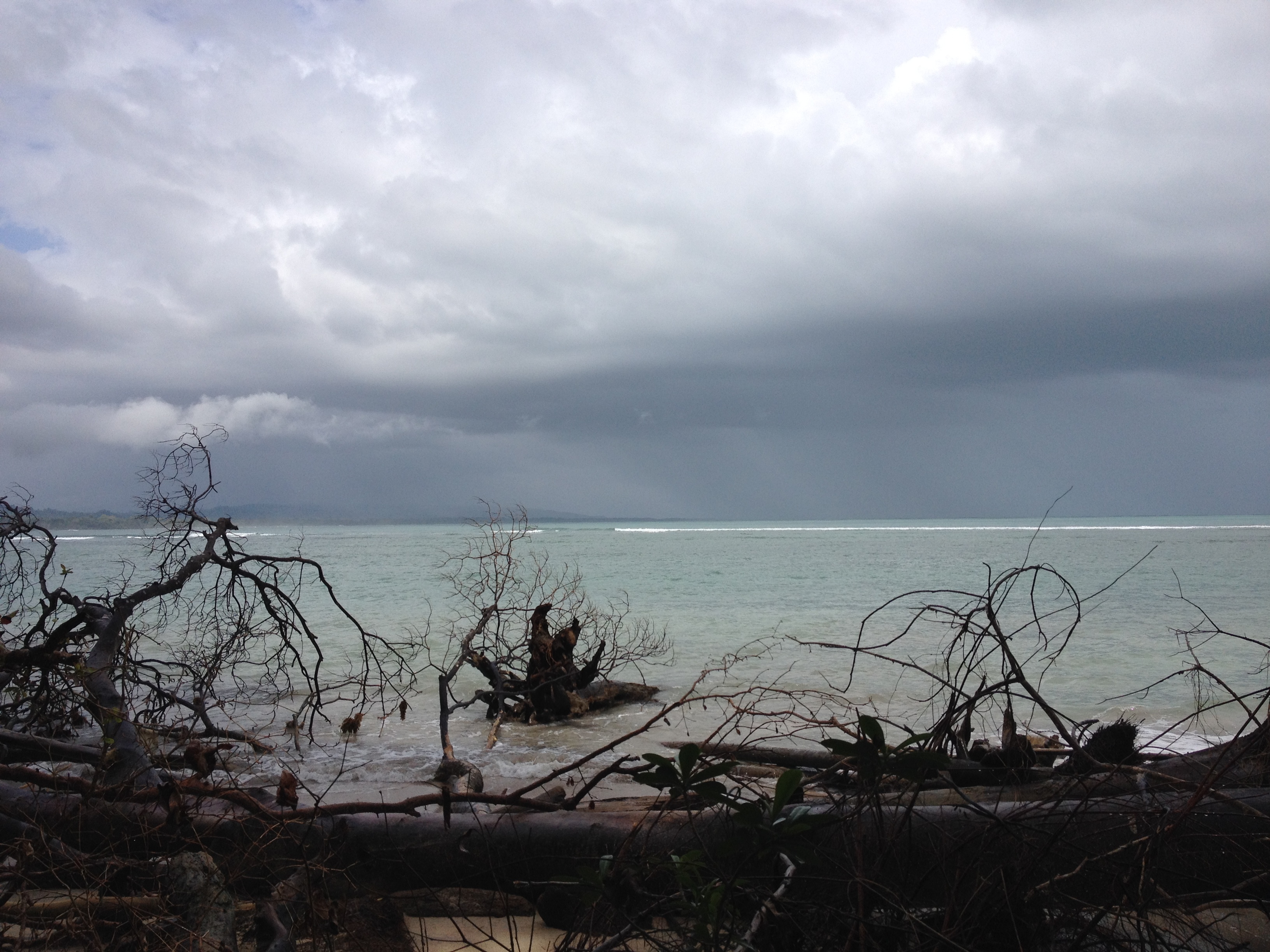 รูปถ่าย คอสตาริกา(Costa Rica) กาอุยตา(Cahuita) 2015-03 54